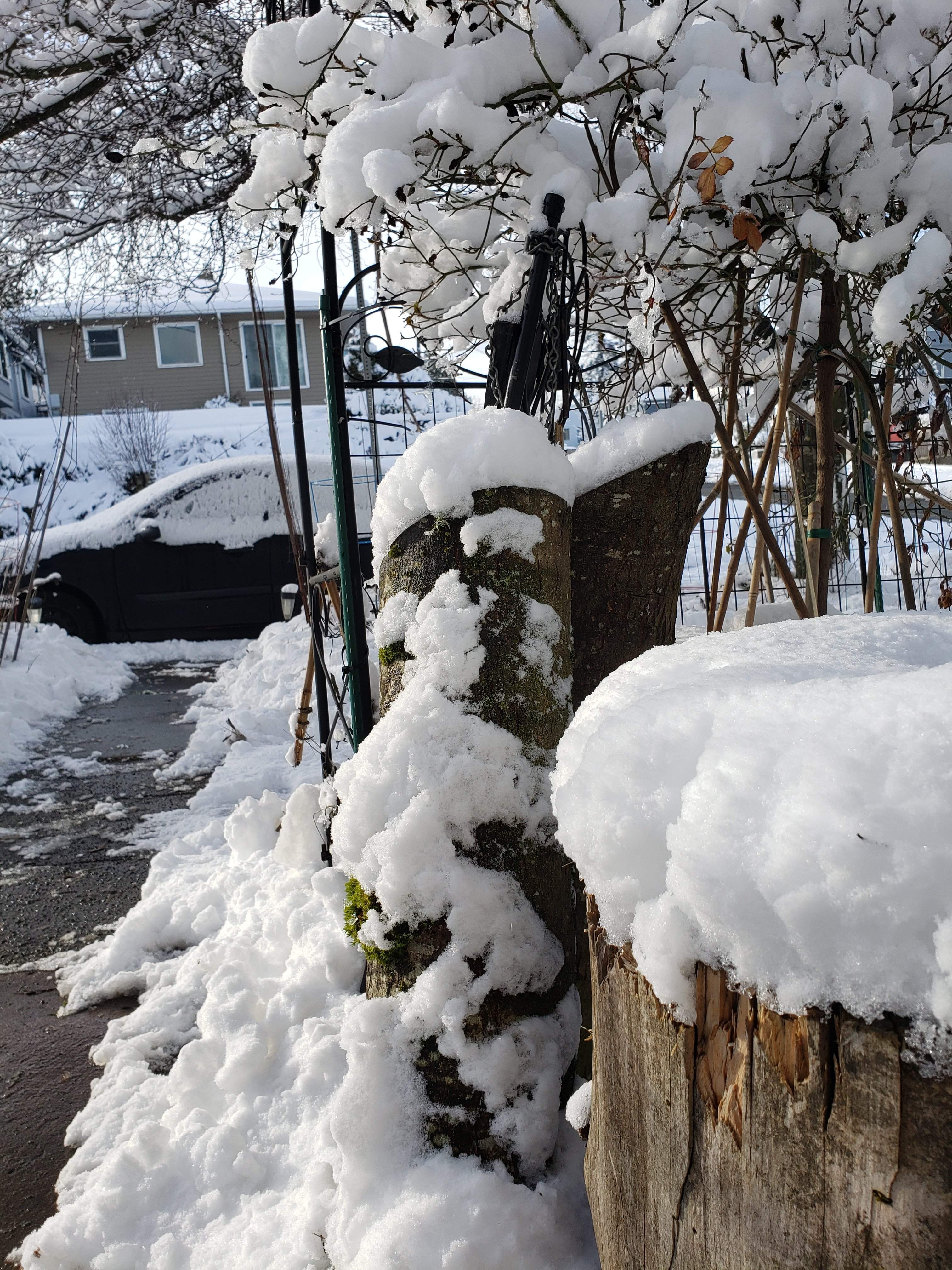 20190209_145944.jpg
