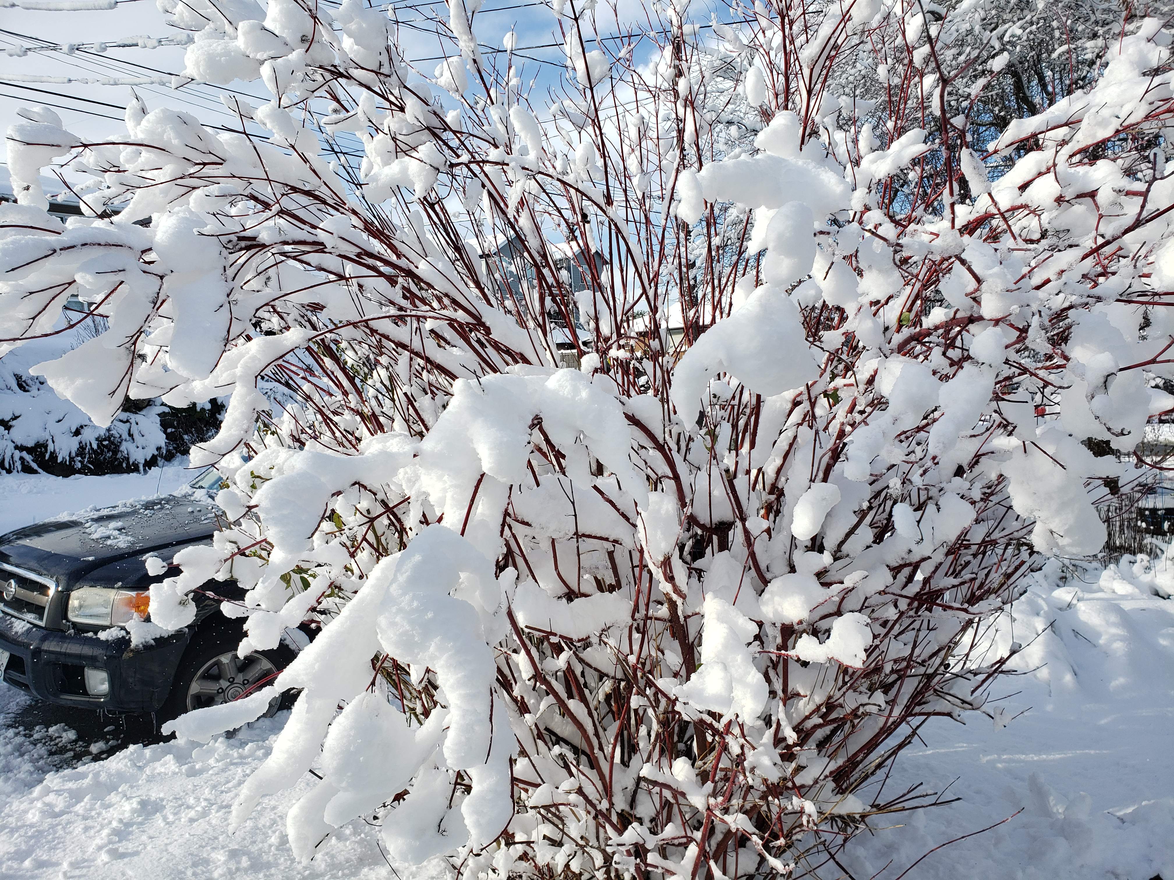 20190209_150302.jpg