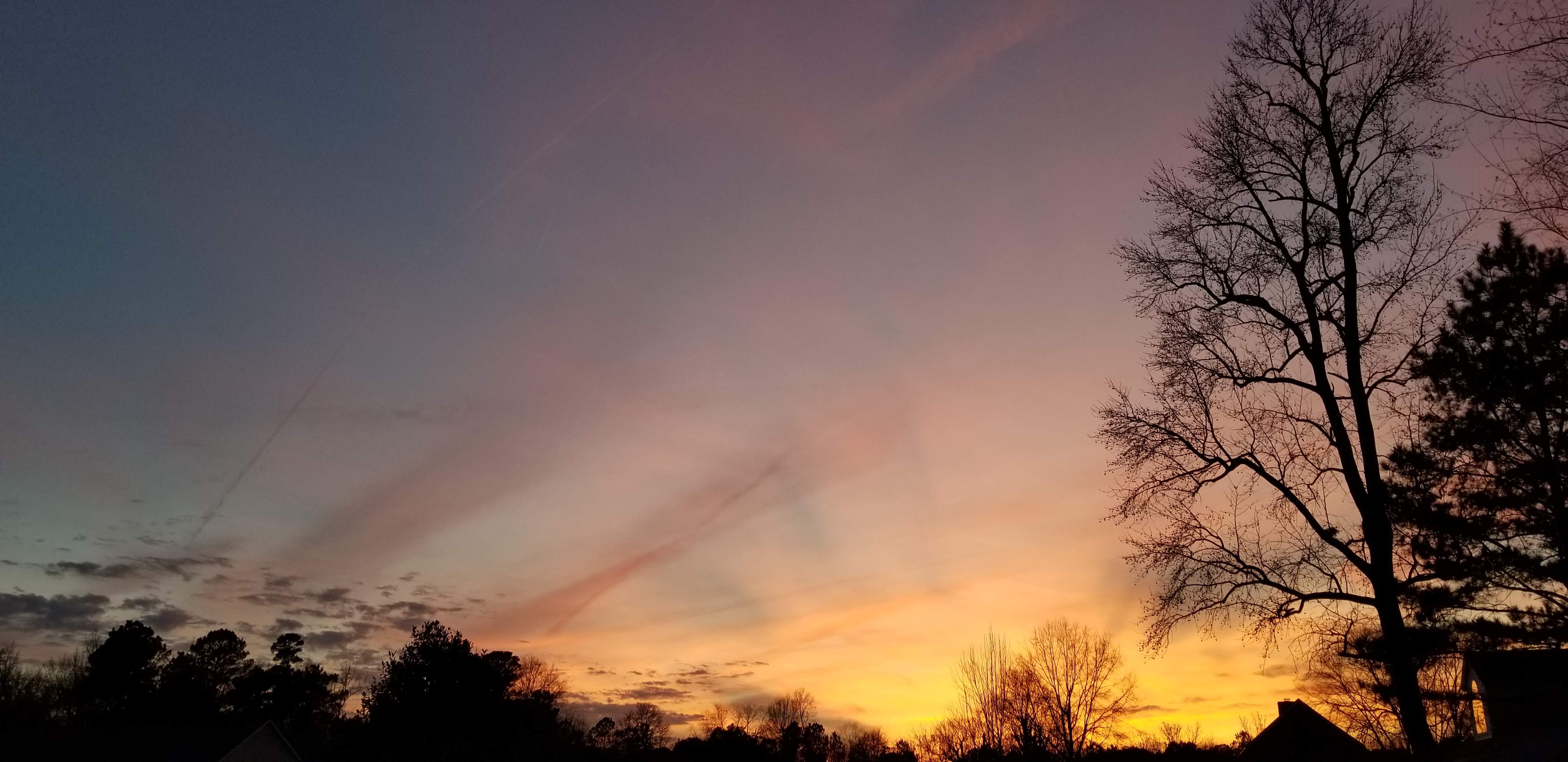 20190209_175735.jpg