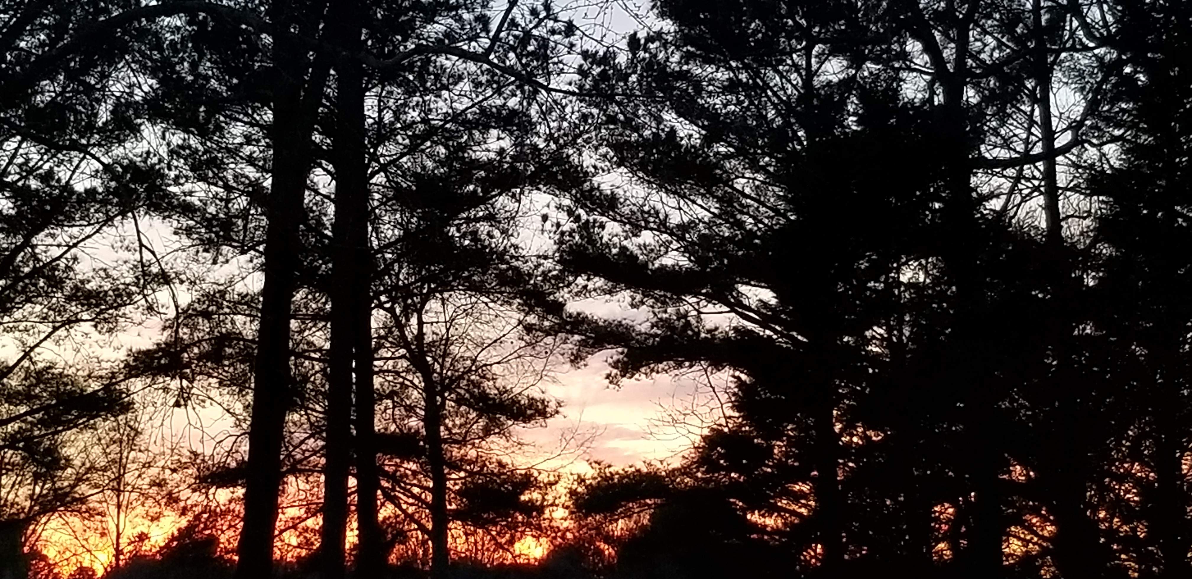 20190209_180510.jpg