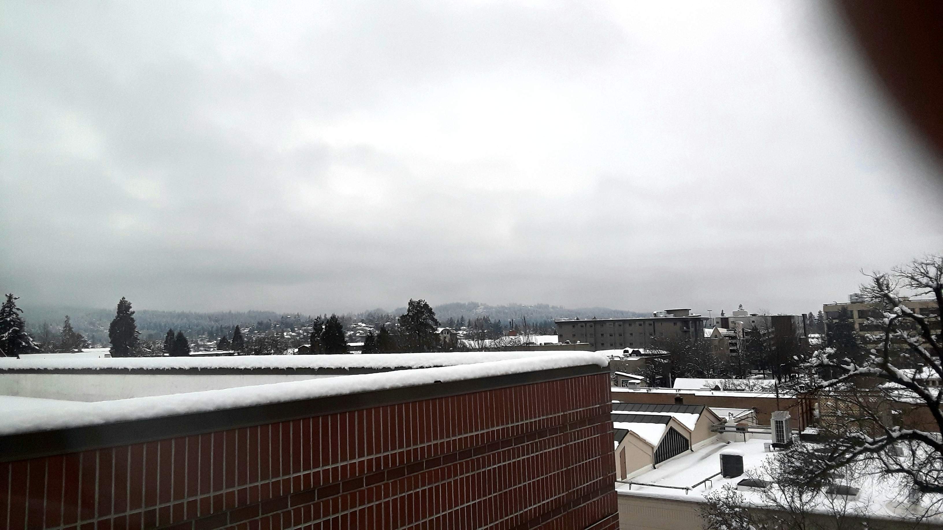 20190226_132307.jpg