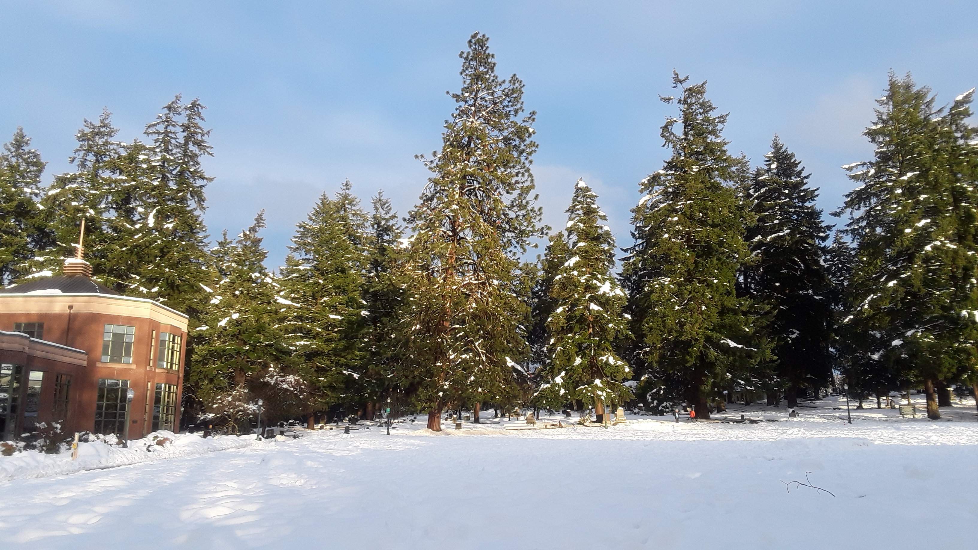20190227_172458.jpg
