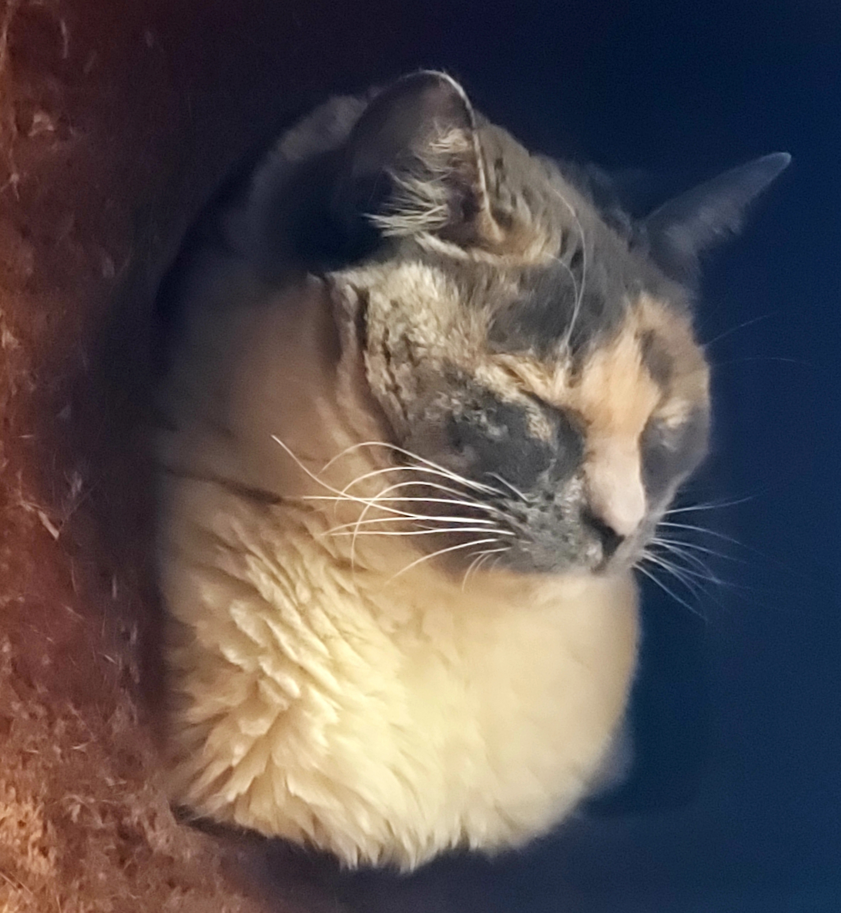 20190227_180045.jpg