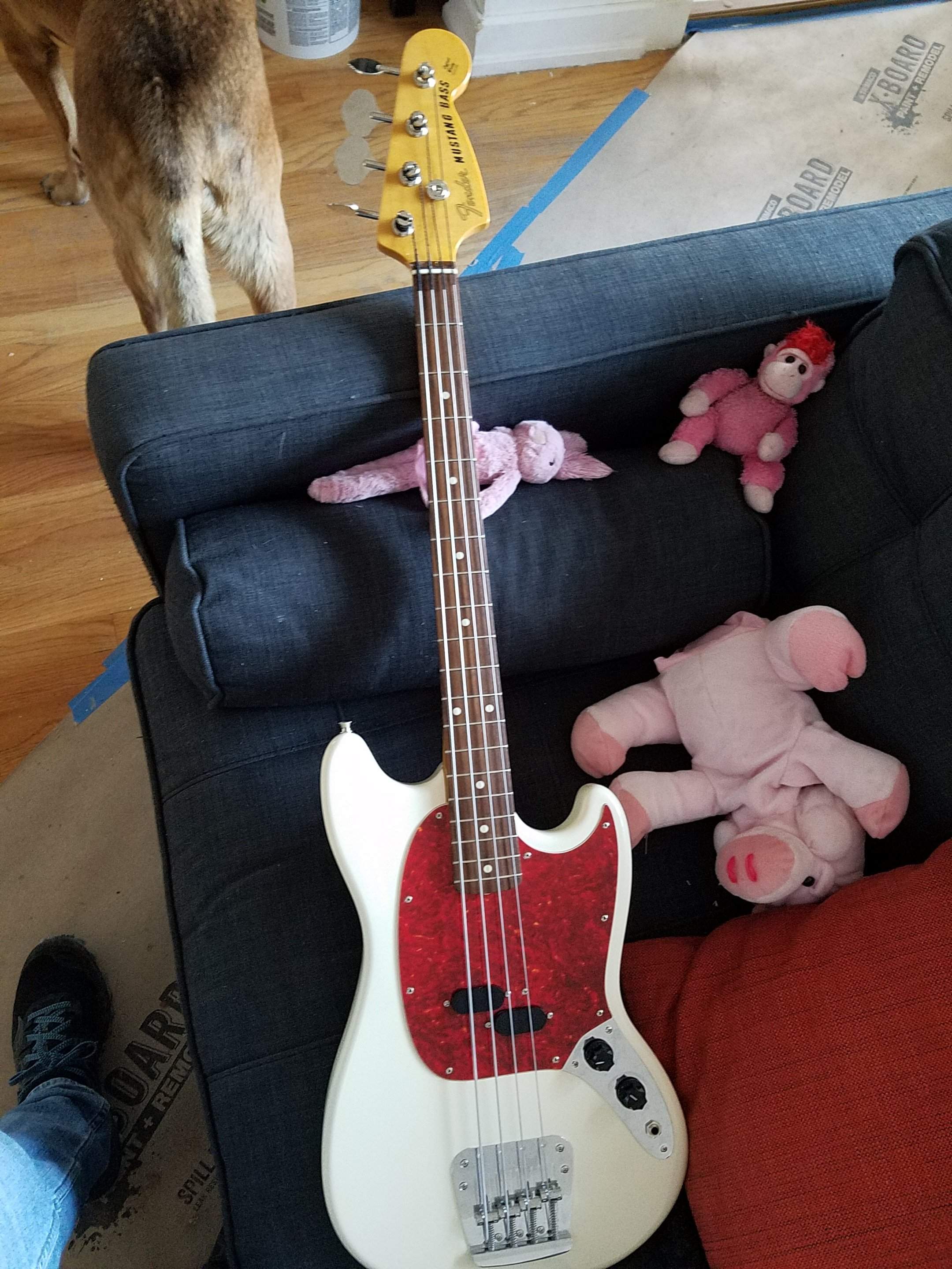 20190228_173444.jpg