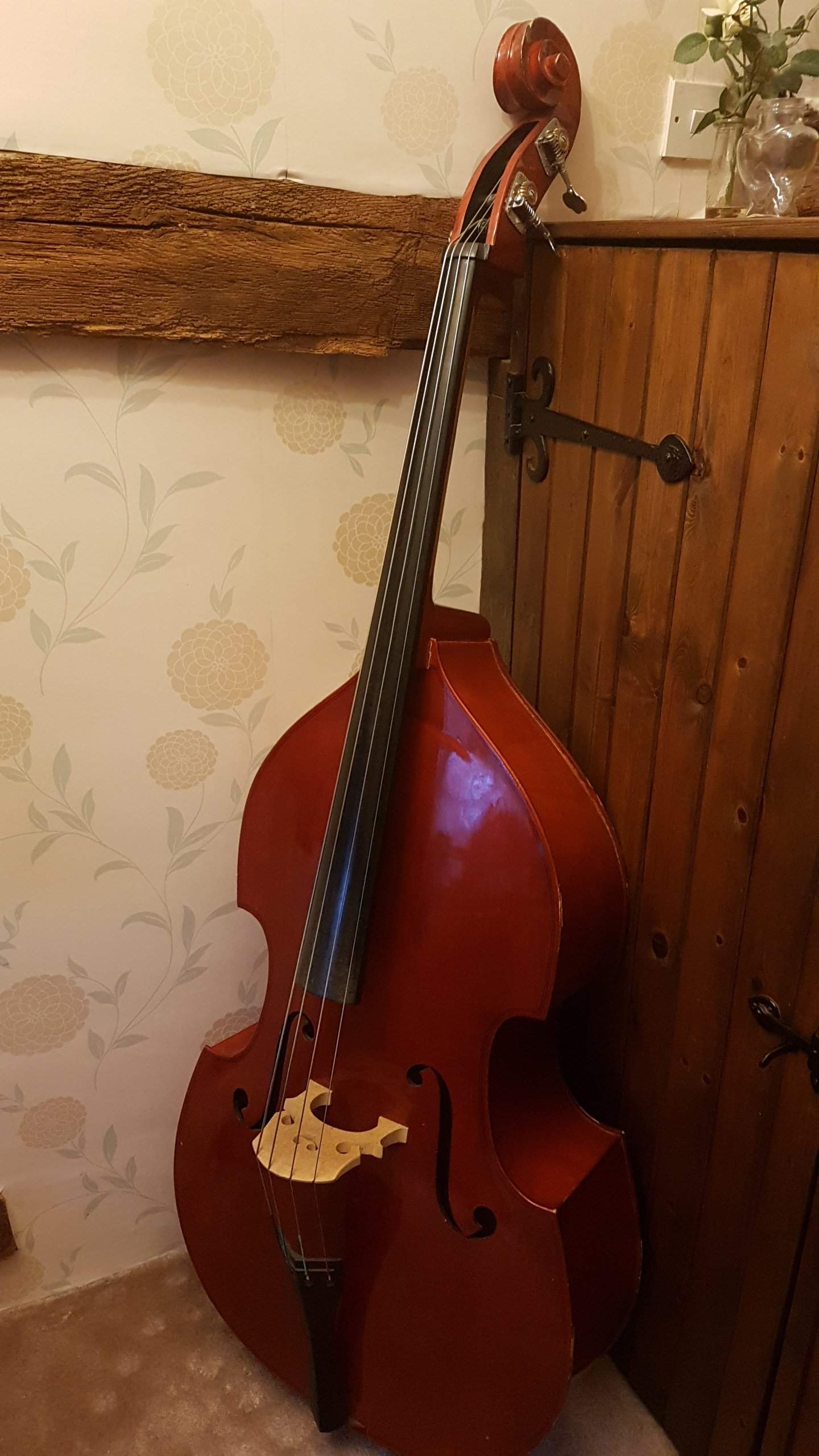 20190304_174252.jpg