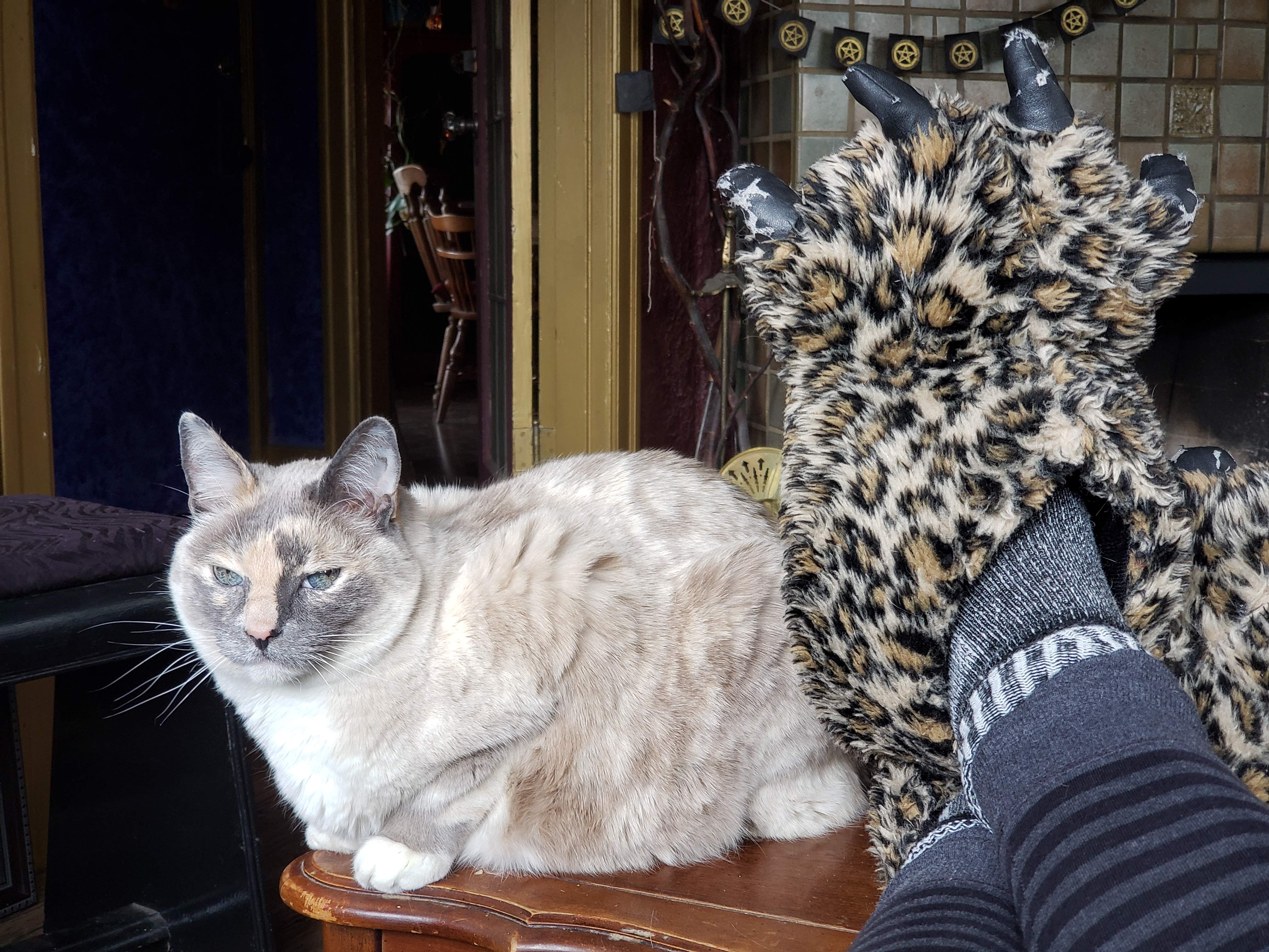 20190312_150840.jpg