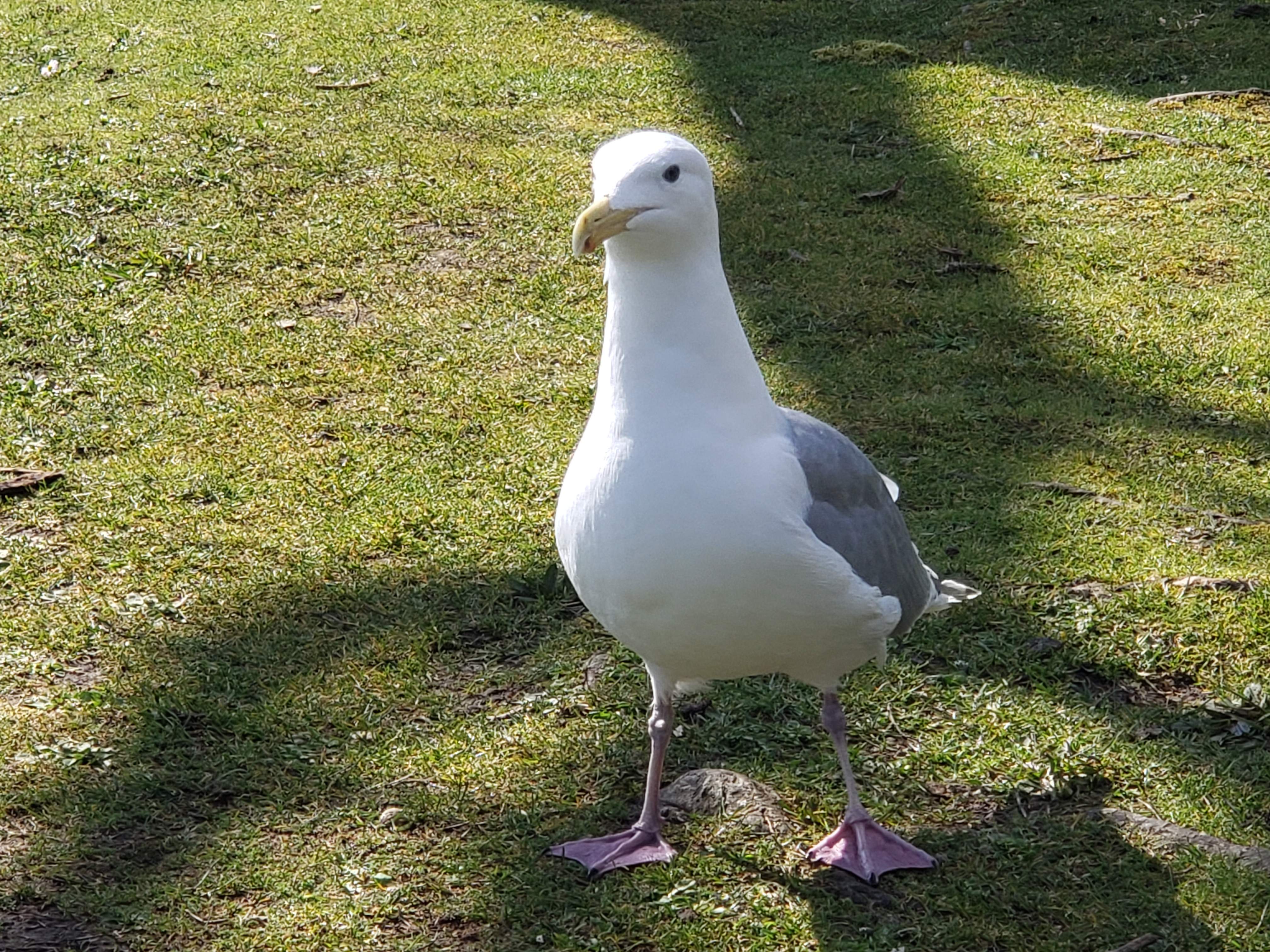 20190313_151703.jpg