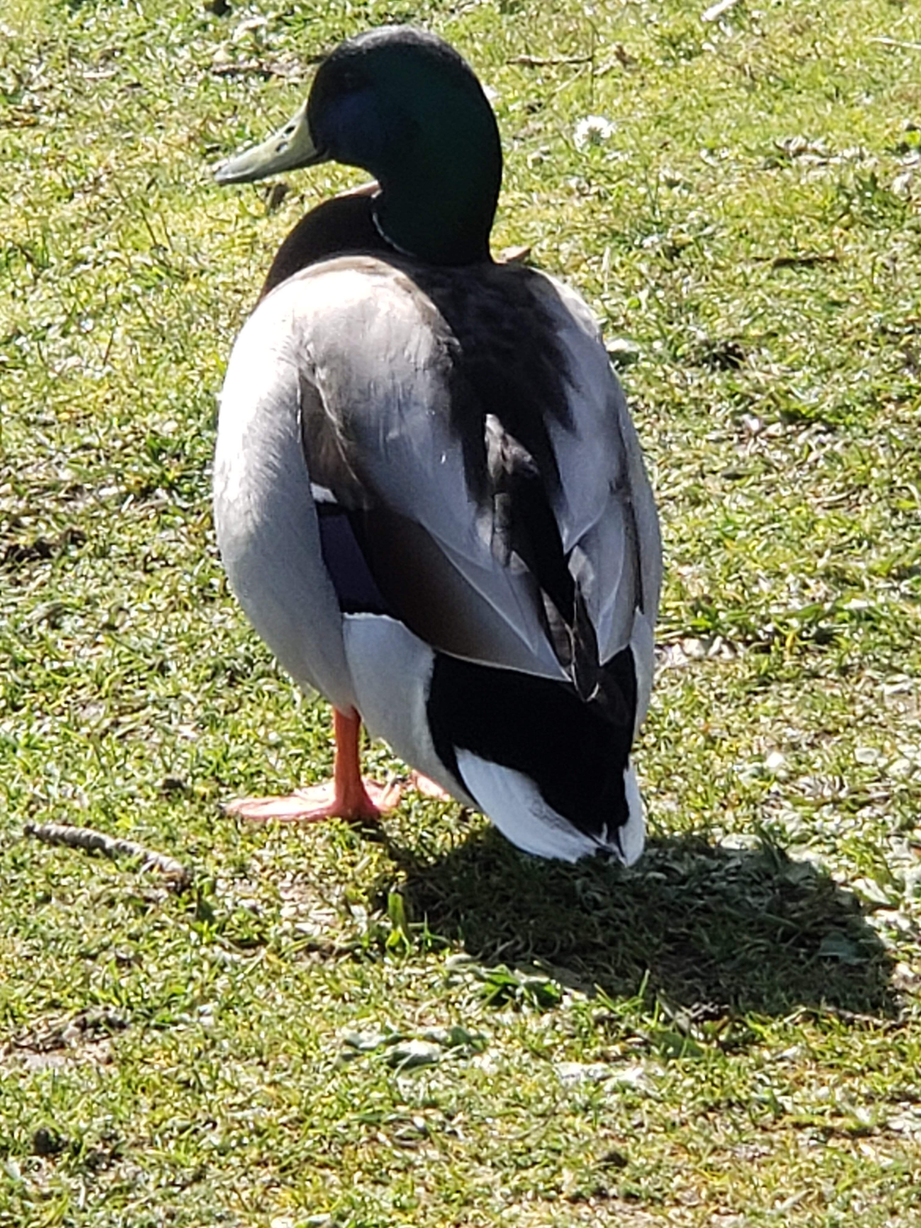 20190313_152008.jpg