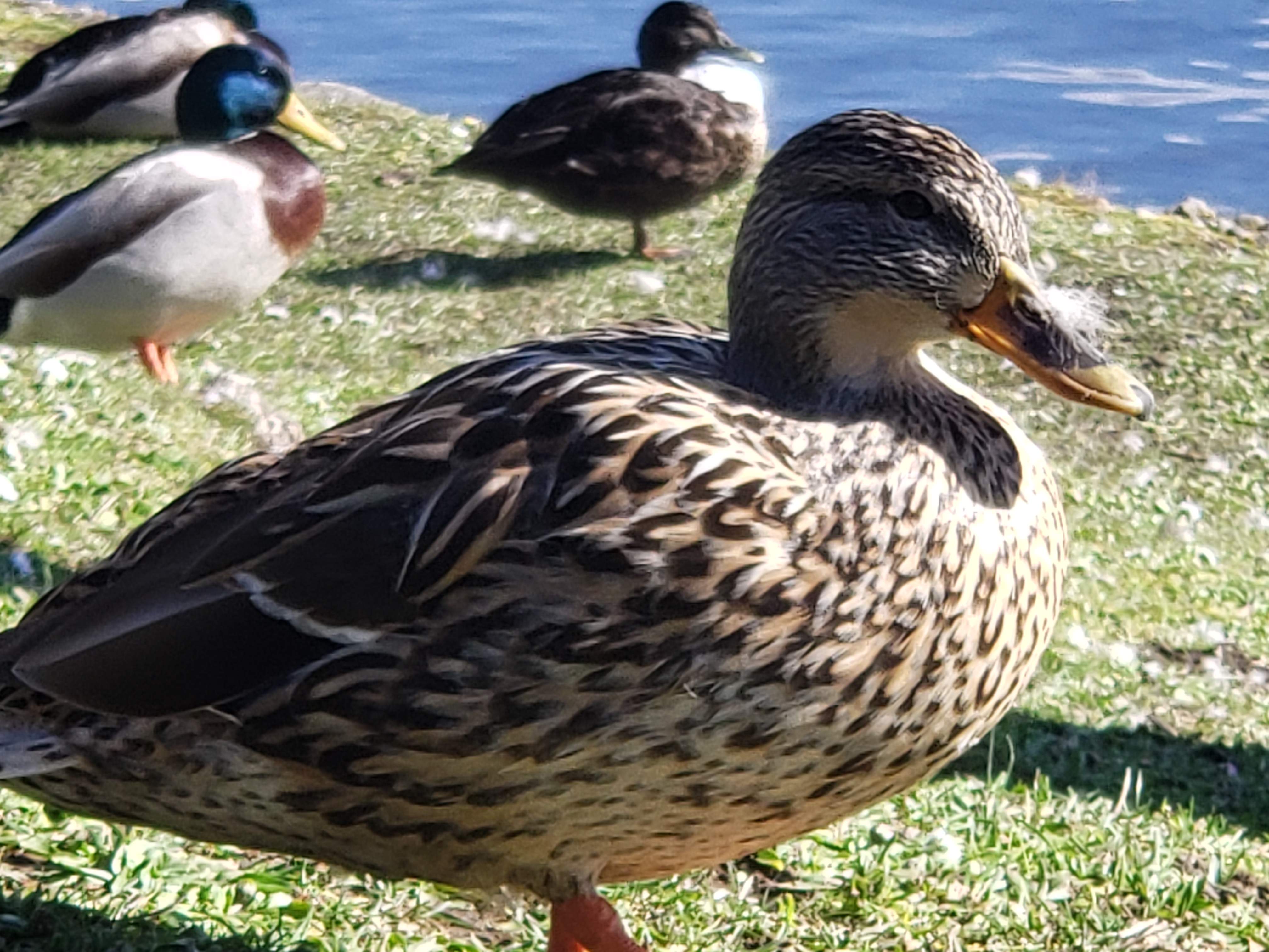 20190313_153555.jpg