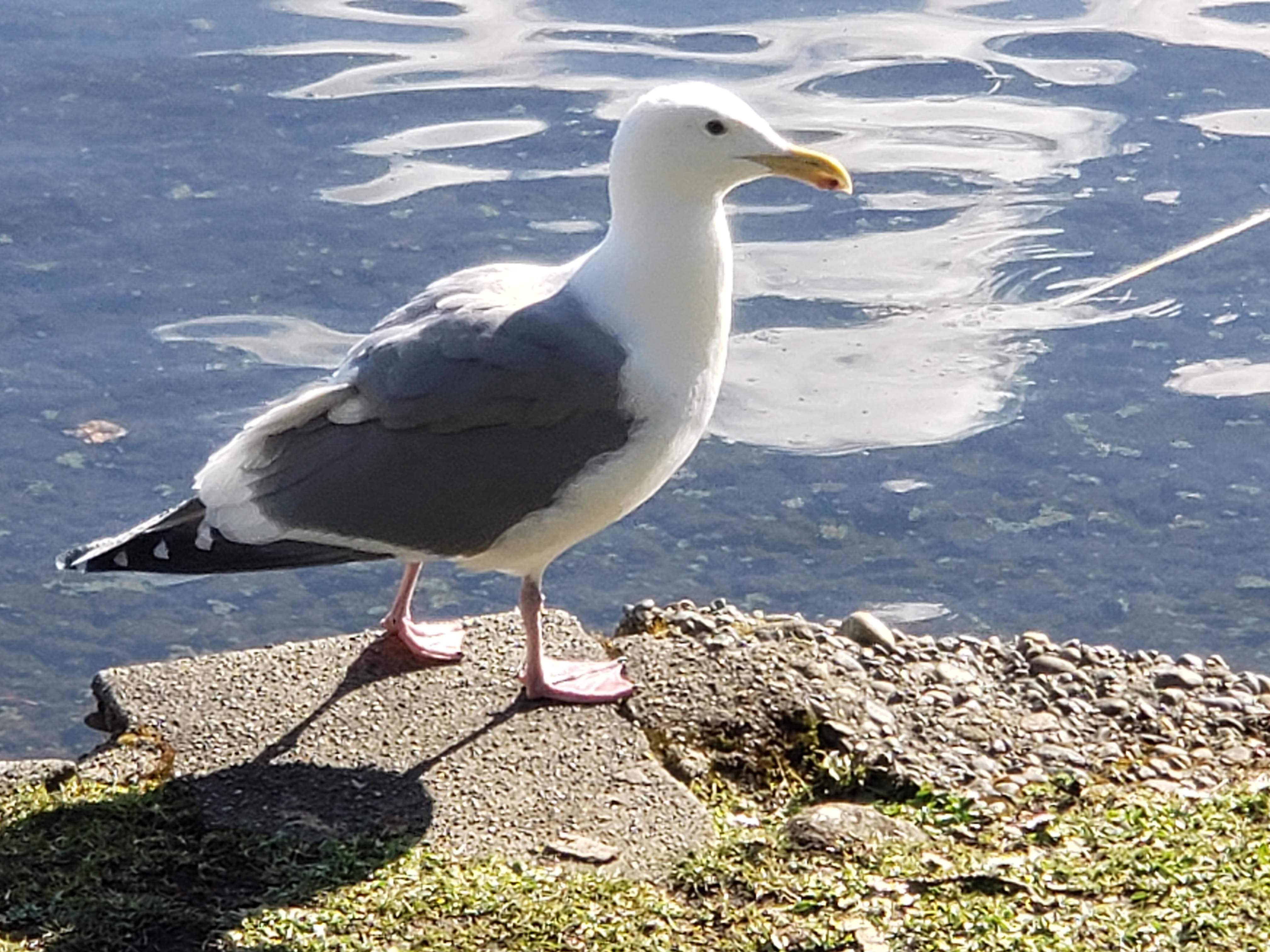 20190313_153701.jpg