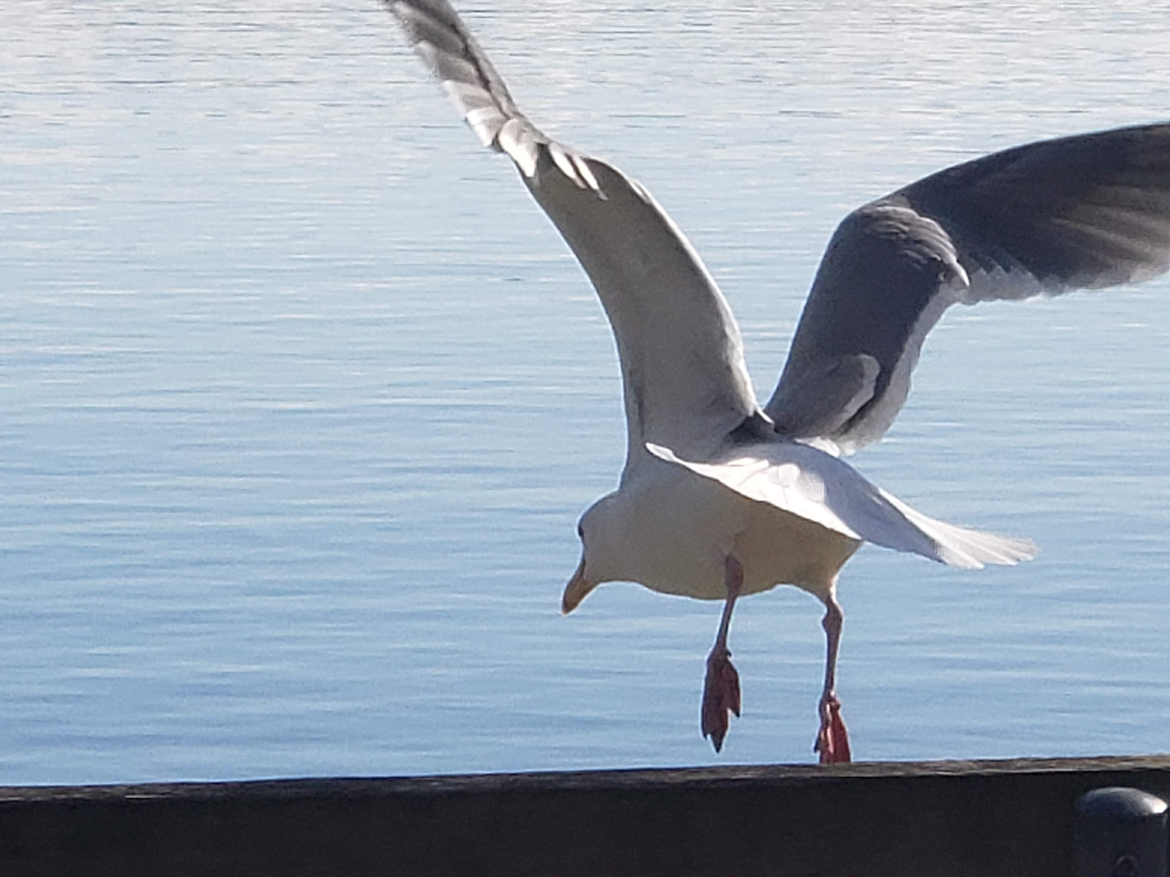 20190313_154011.jpg