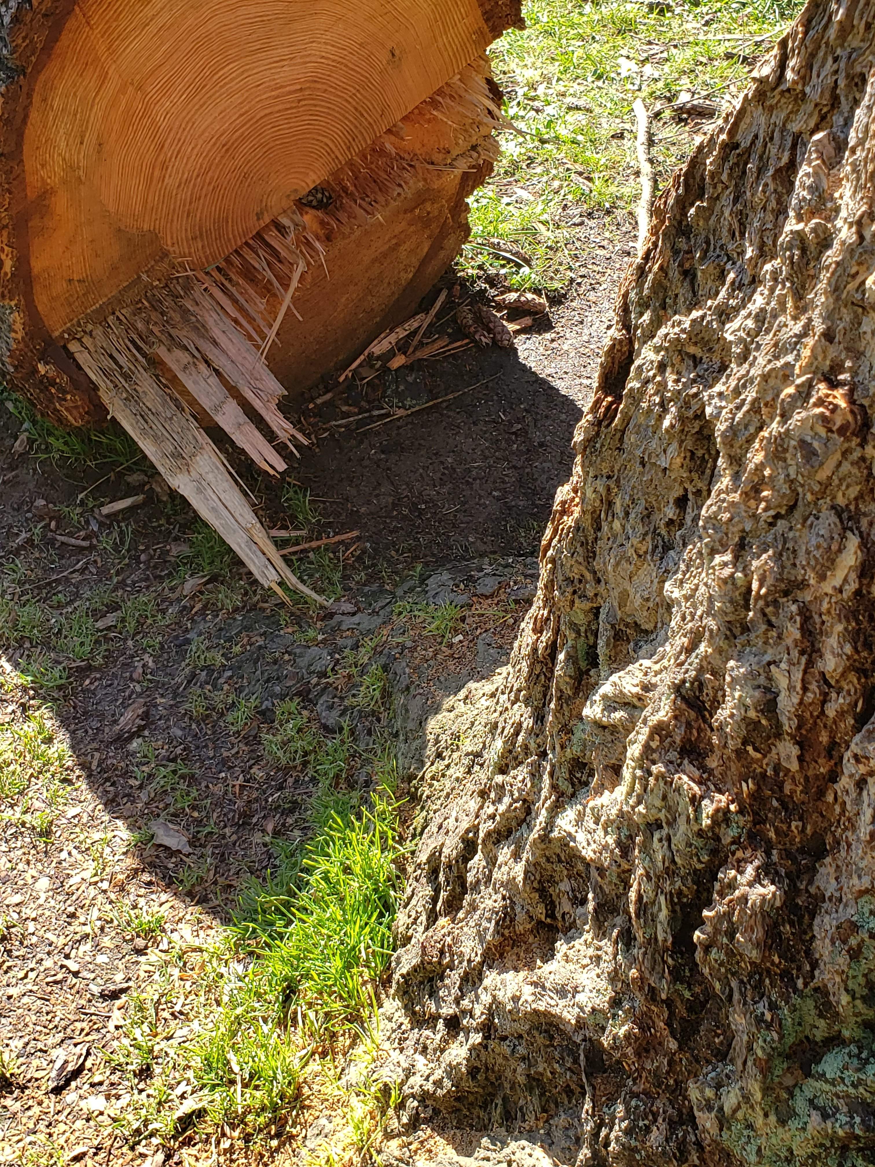 20190313_155906.jpg