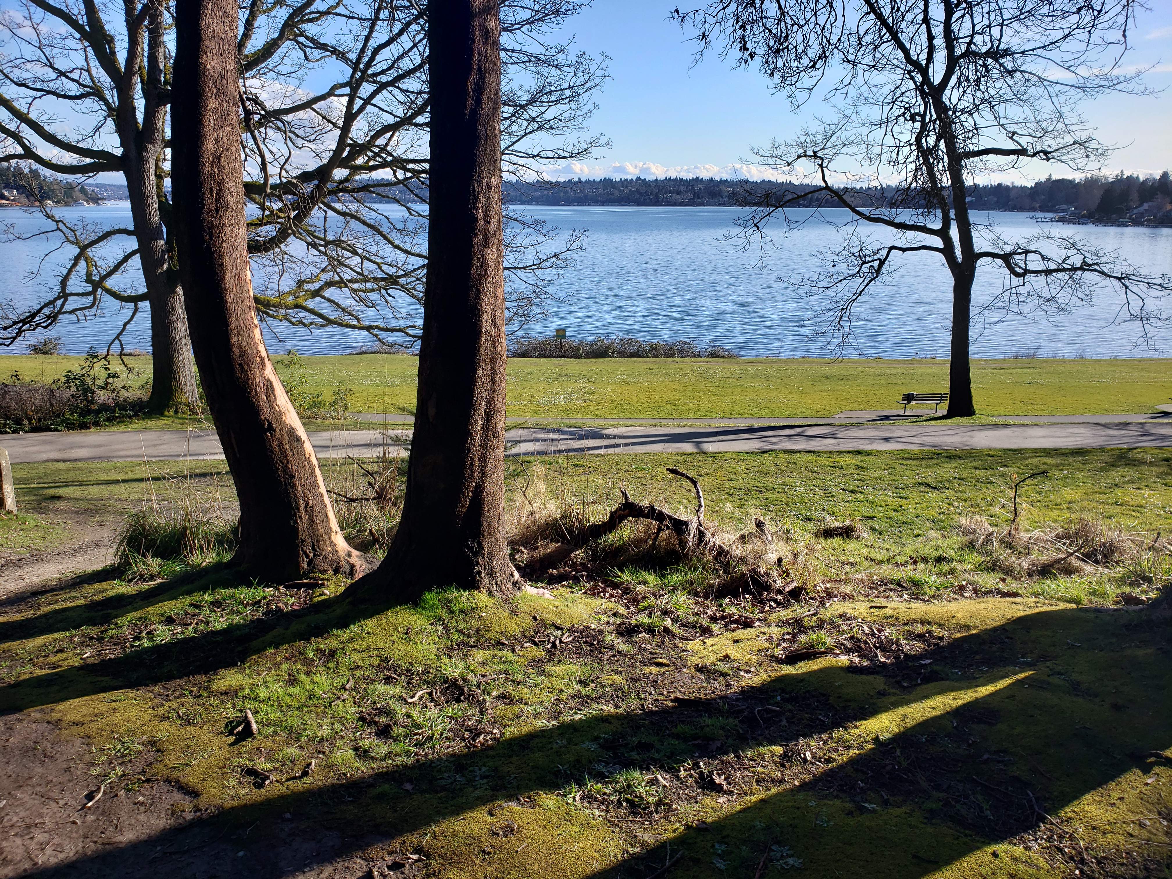 20190313_165711.jpg