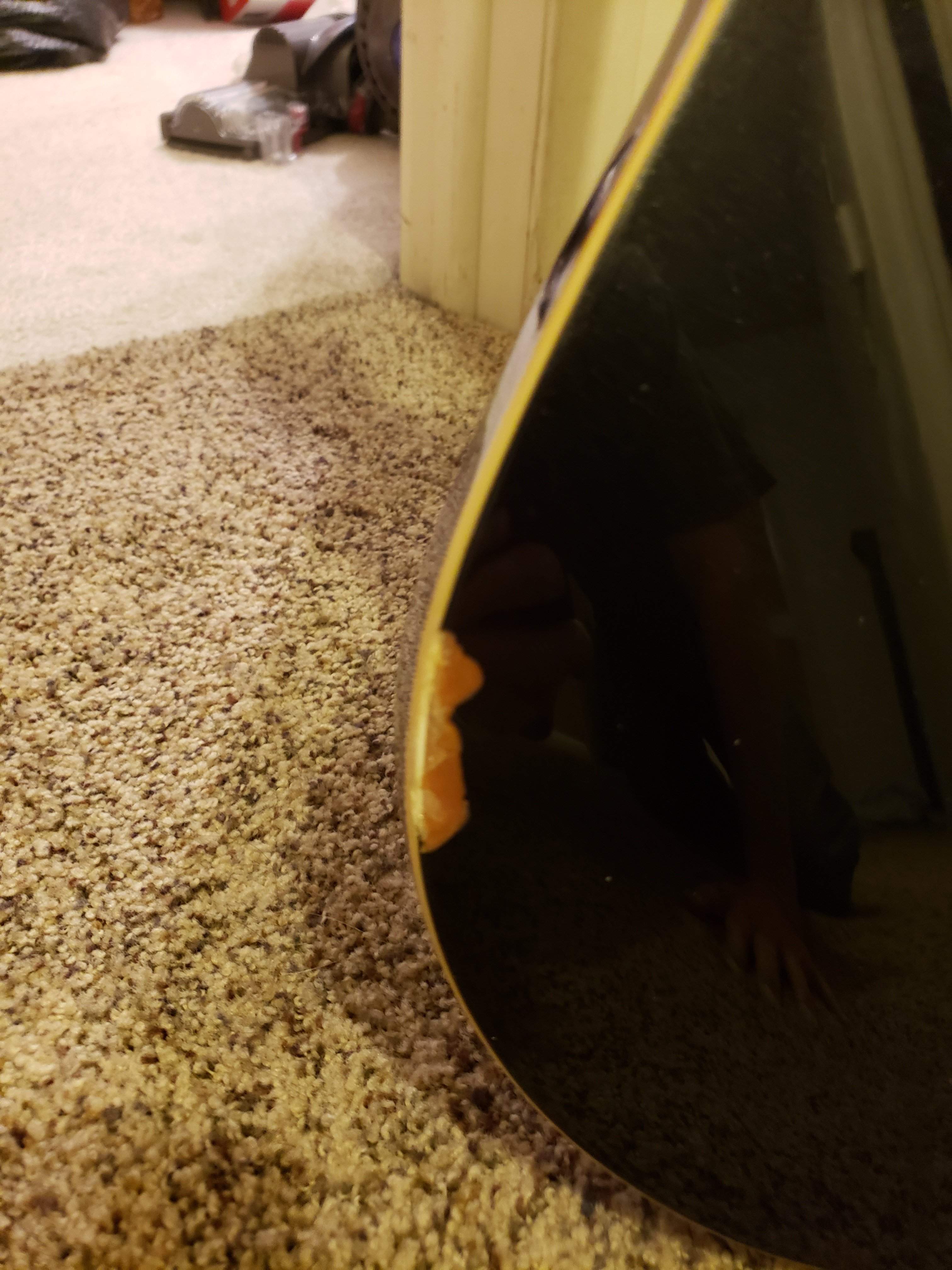 20190313_191356.jpg