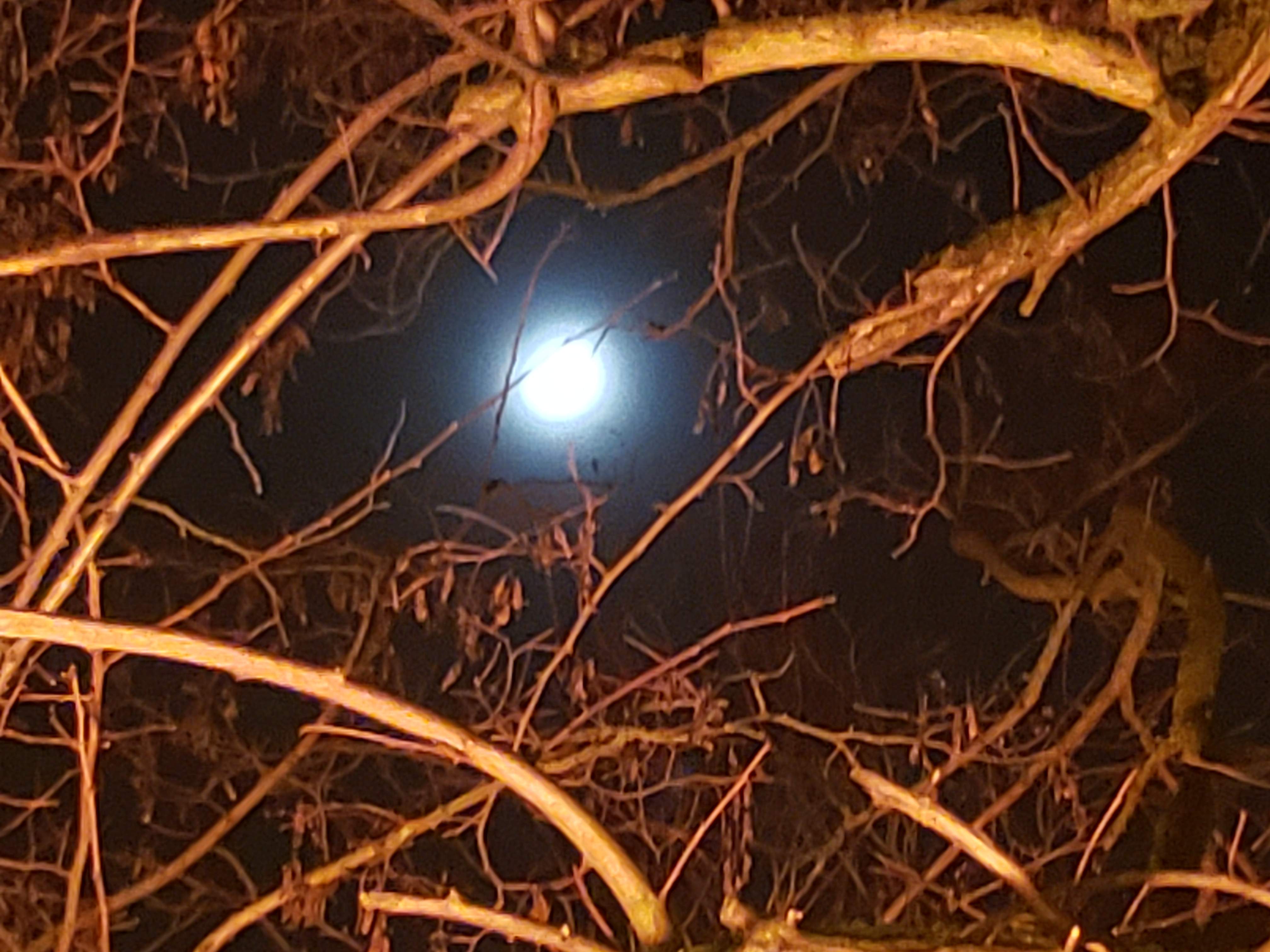20190313_215623.jpg