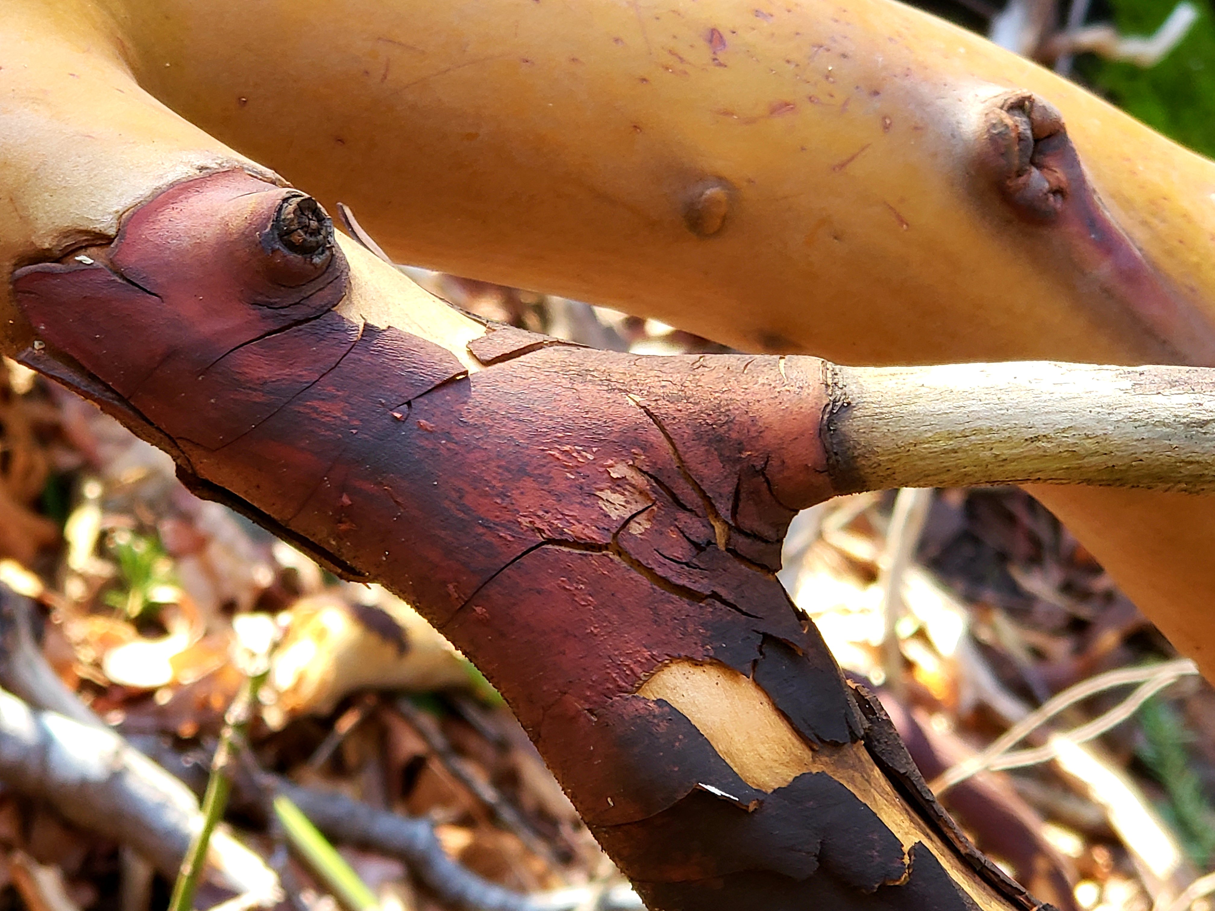 20190314_162740.jpg