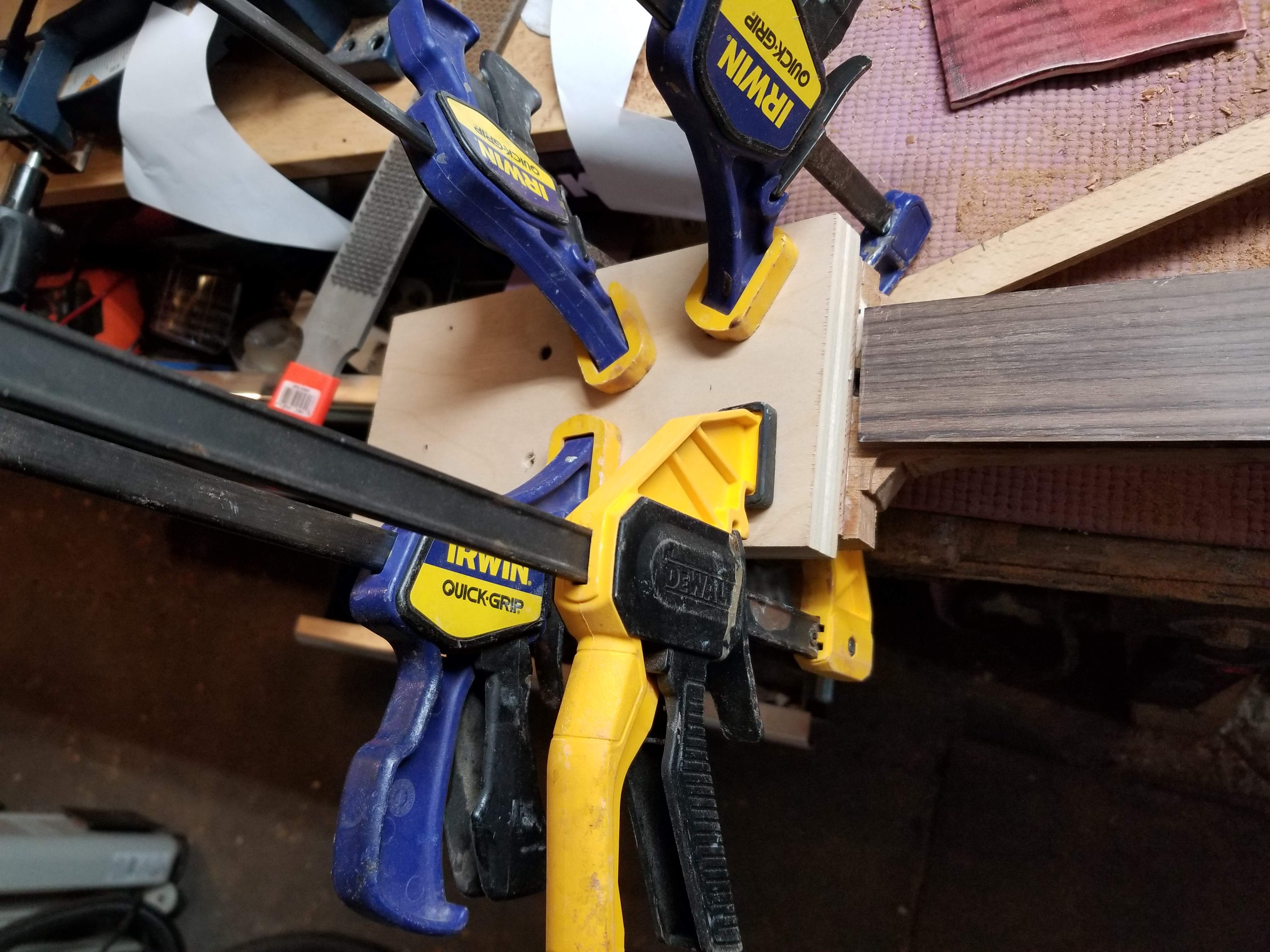 20190317_075913.jpg