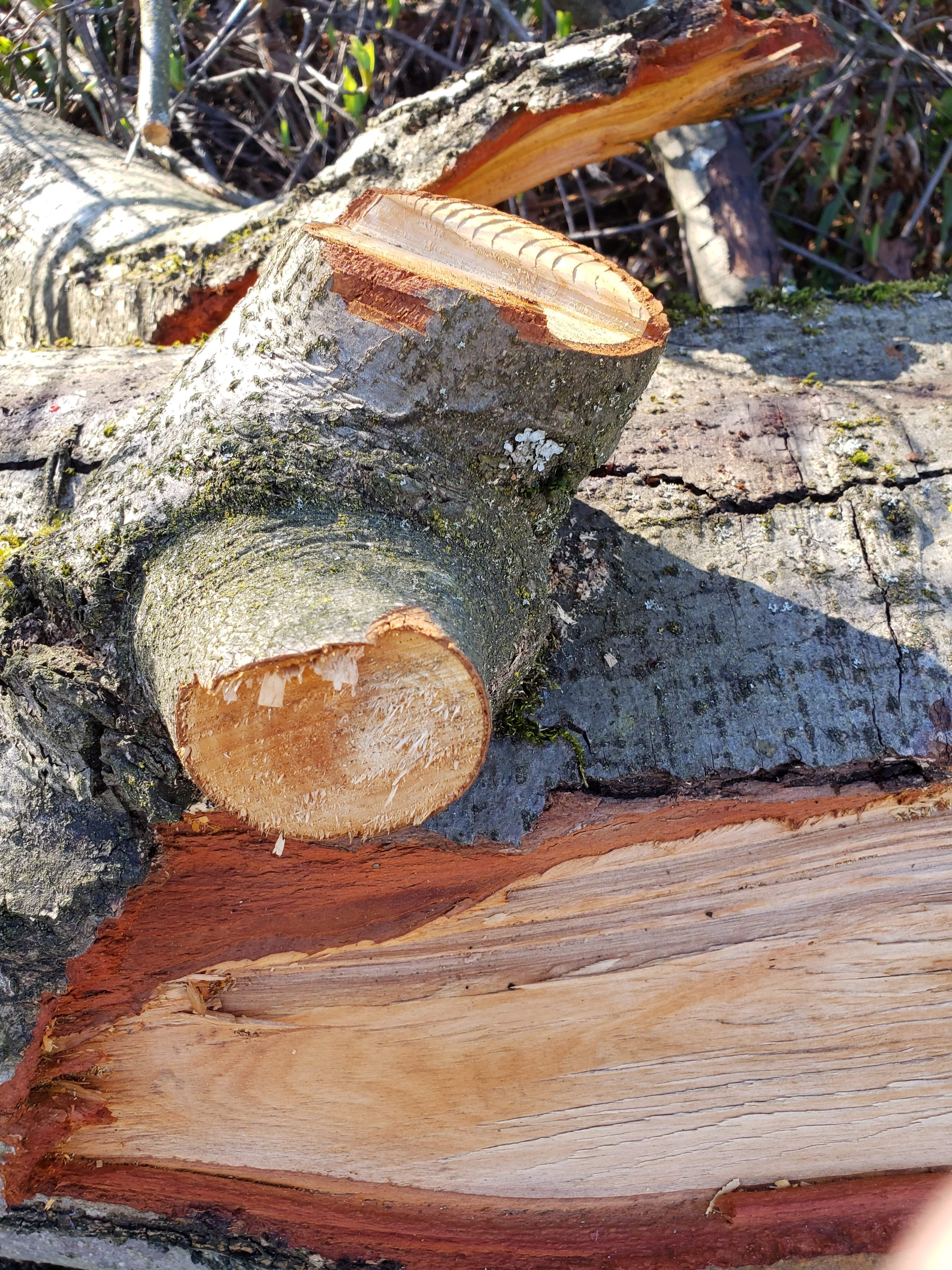 20190318_140646.jpg