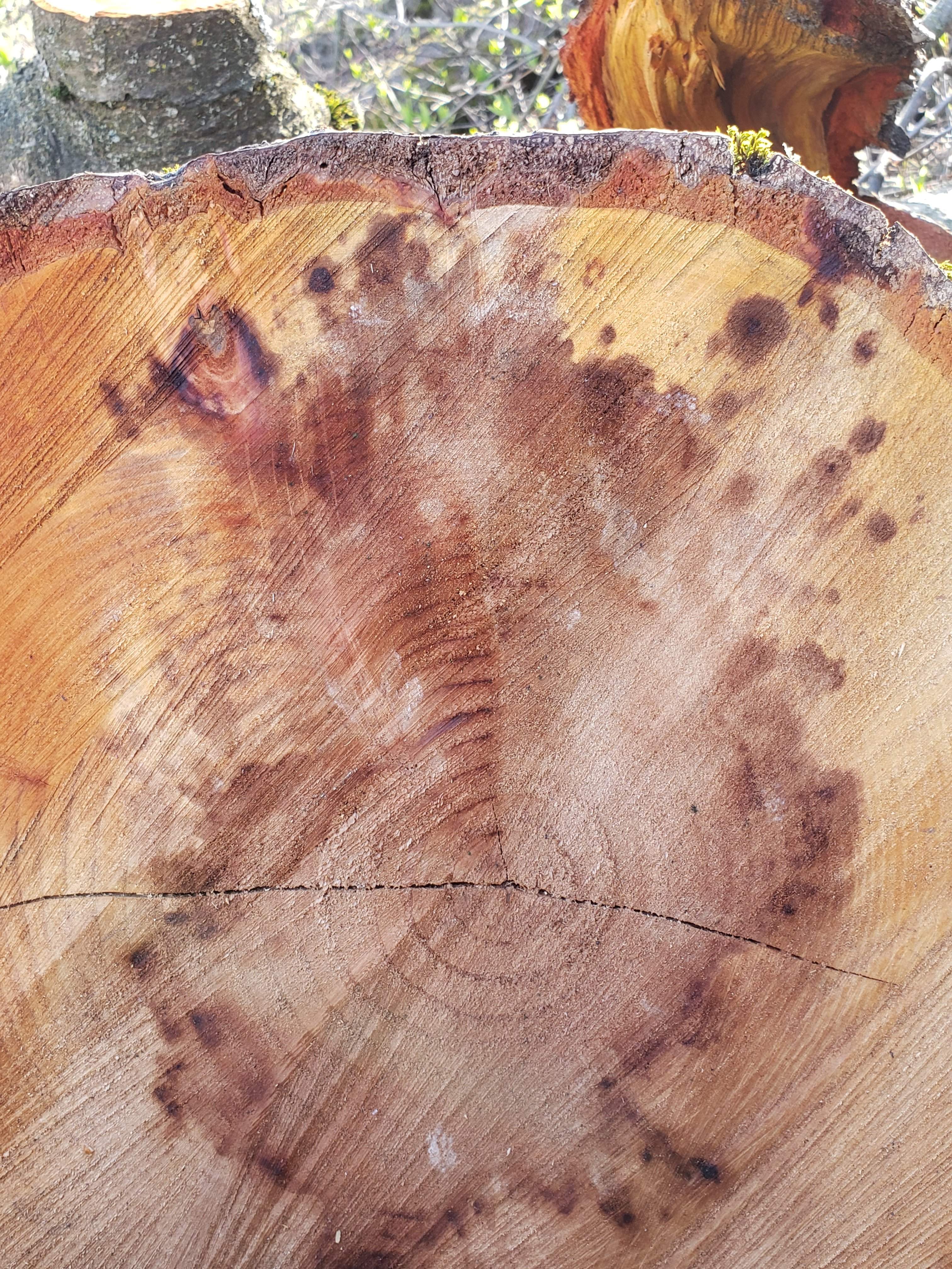 20190318_140754.jpg
