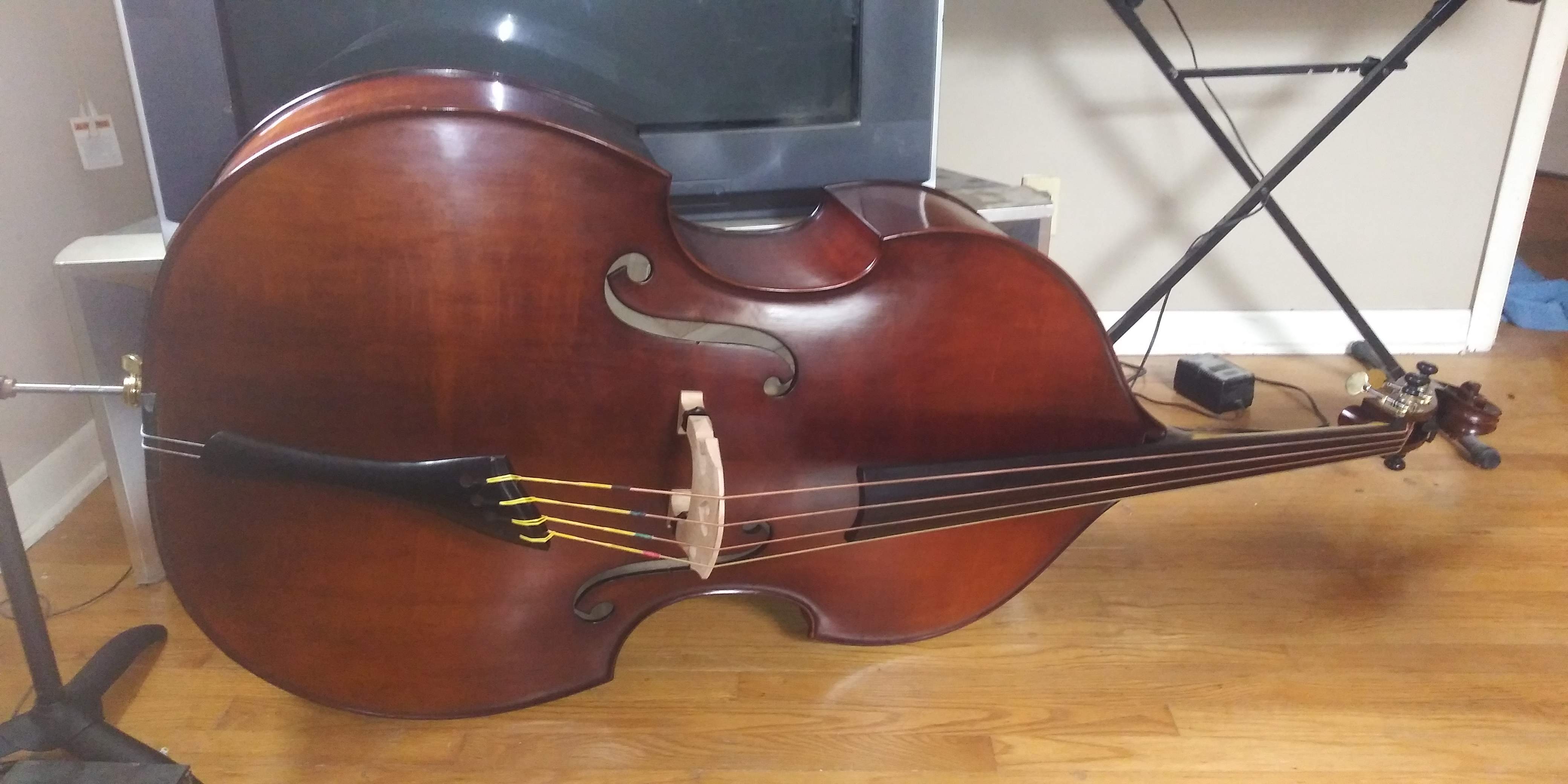 20190324_124526.jpg