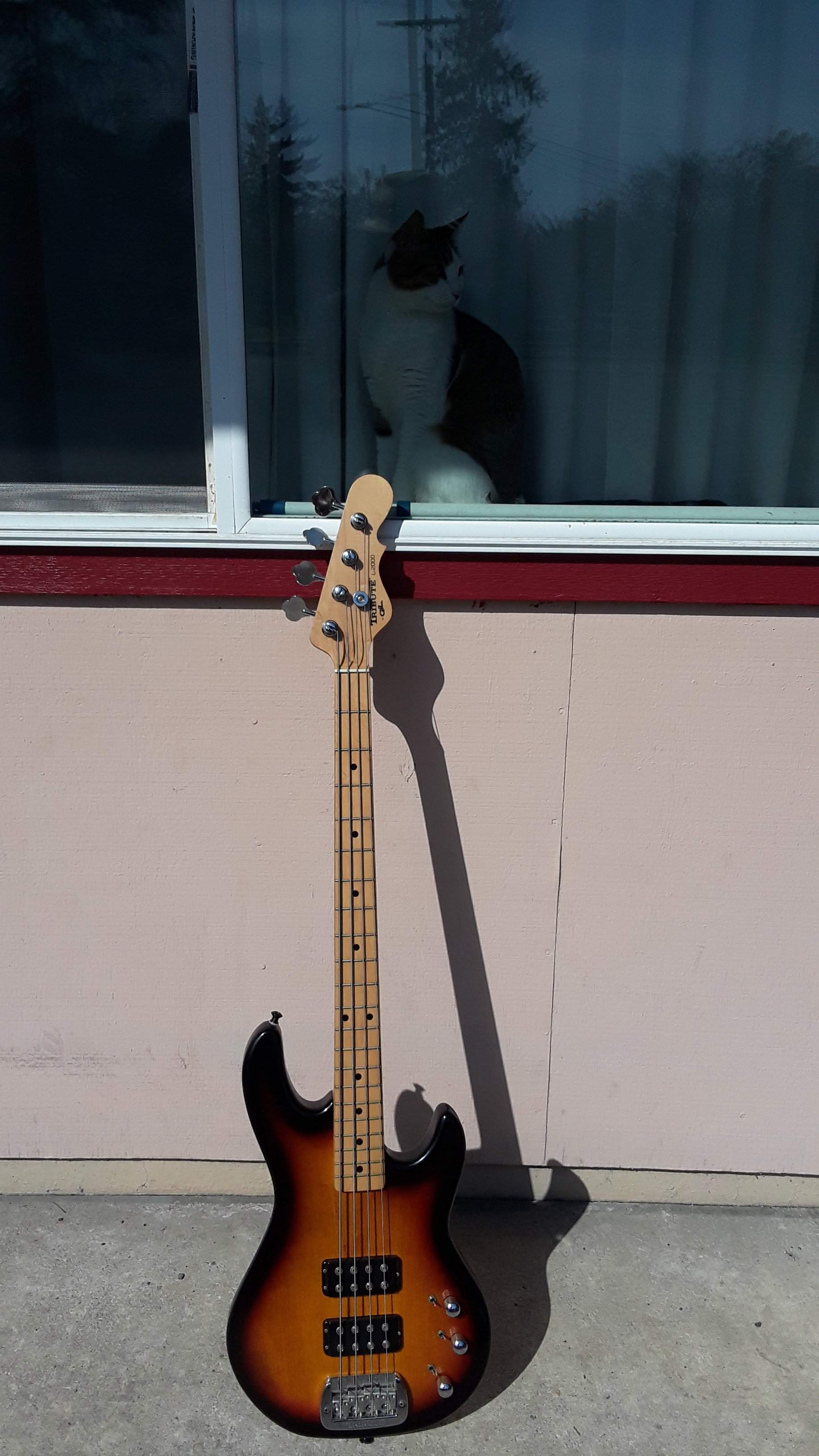 20190324_150152.jpg