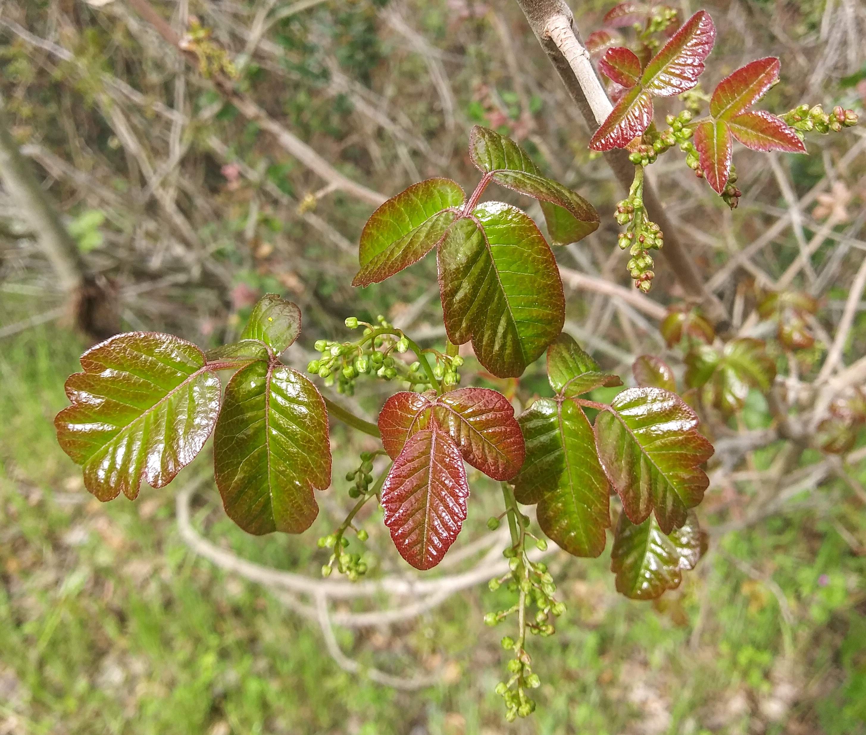 20190324_150244~2.jpg