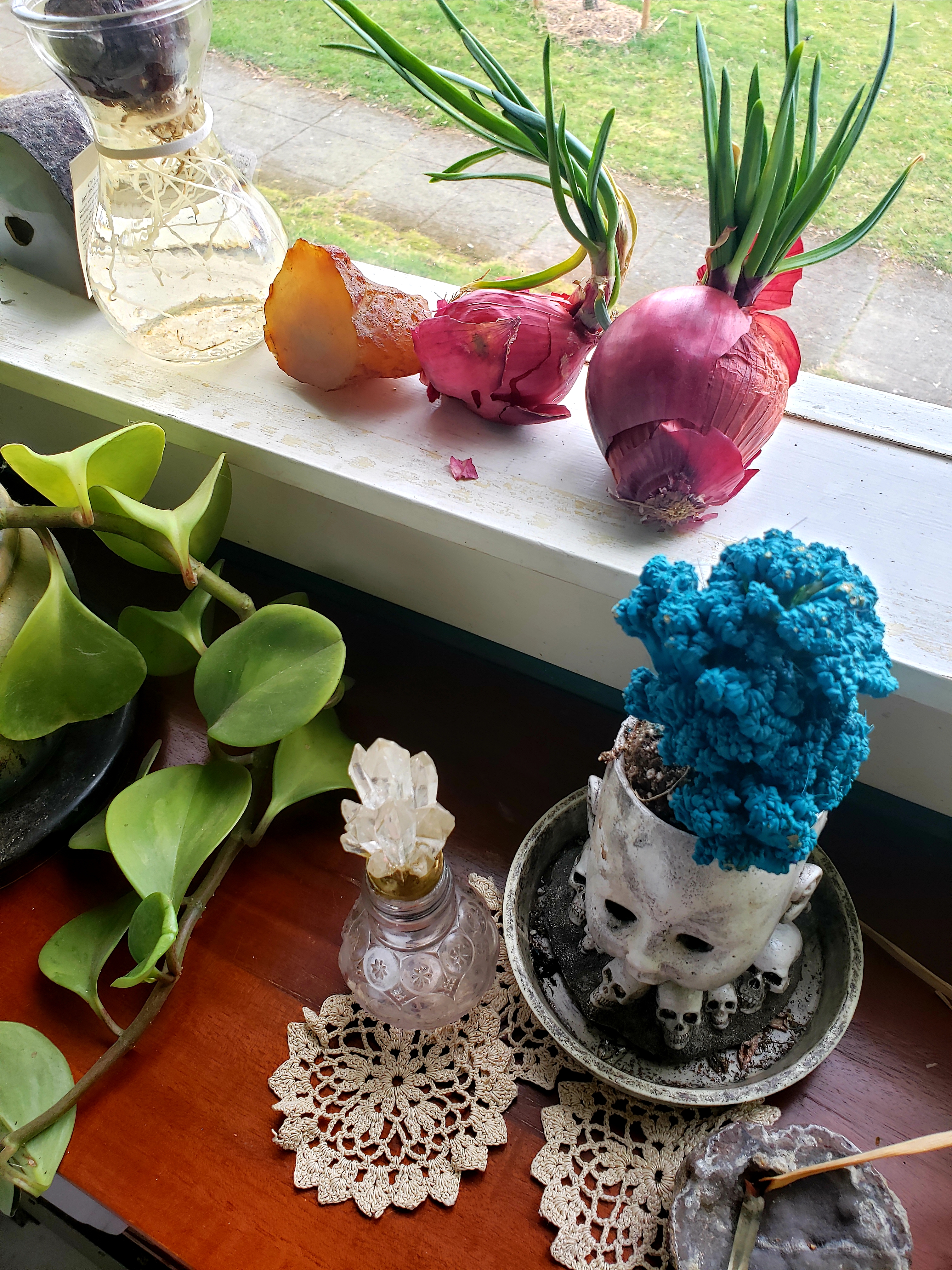 20190324_160147.jpg