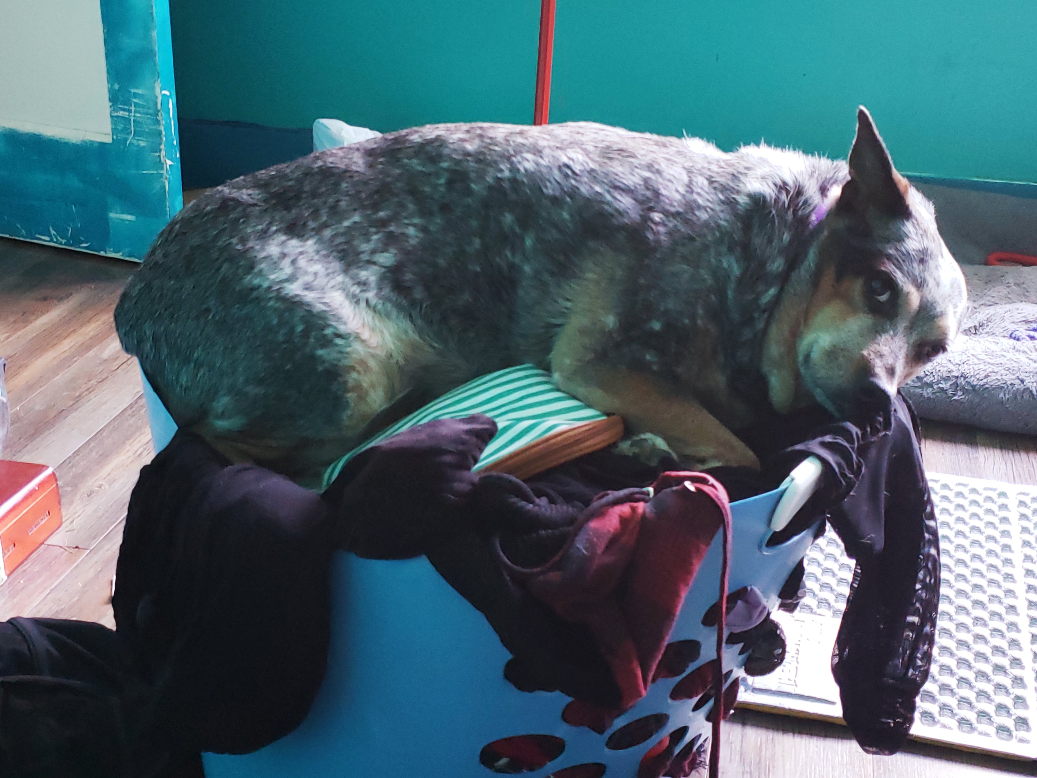 20190328_083315.jpg