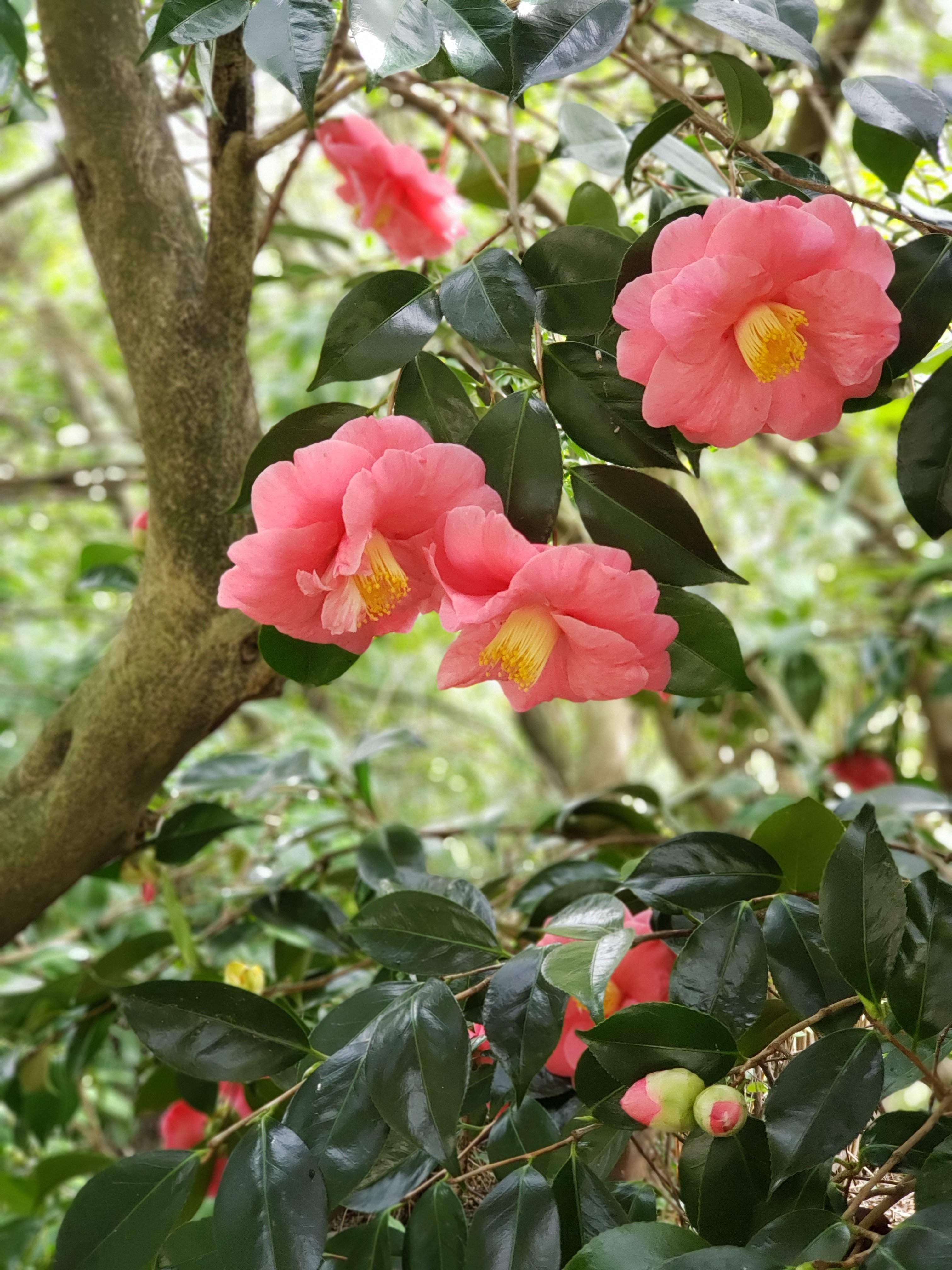 20190329_144220.jpg
