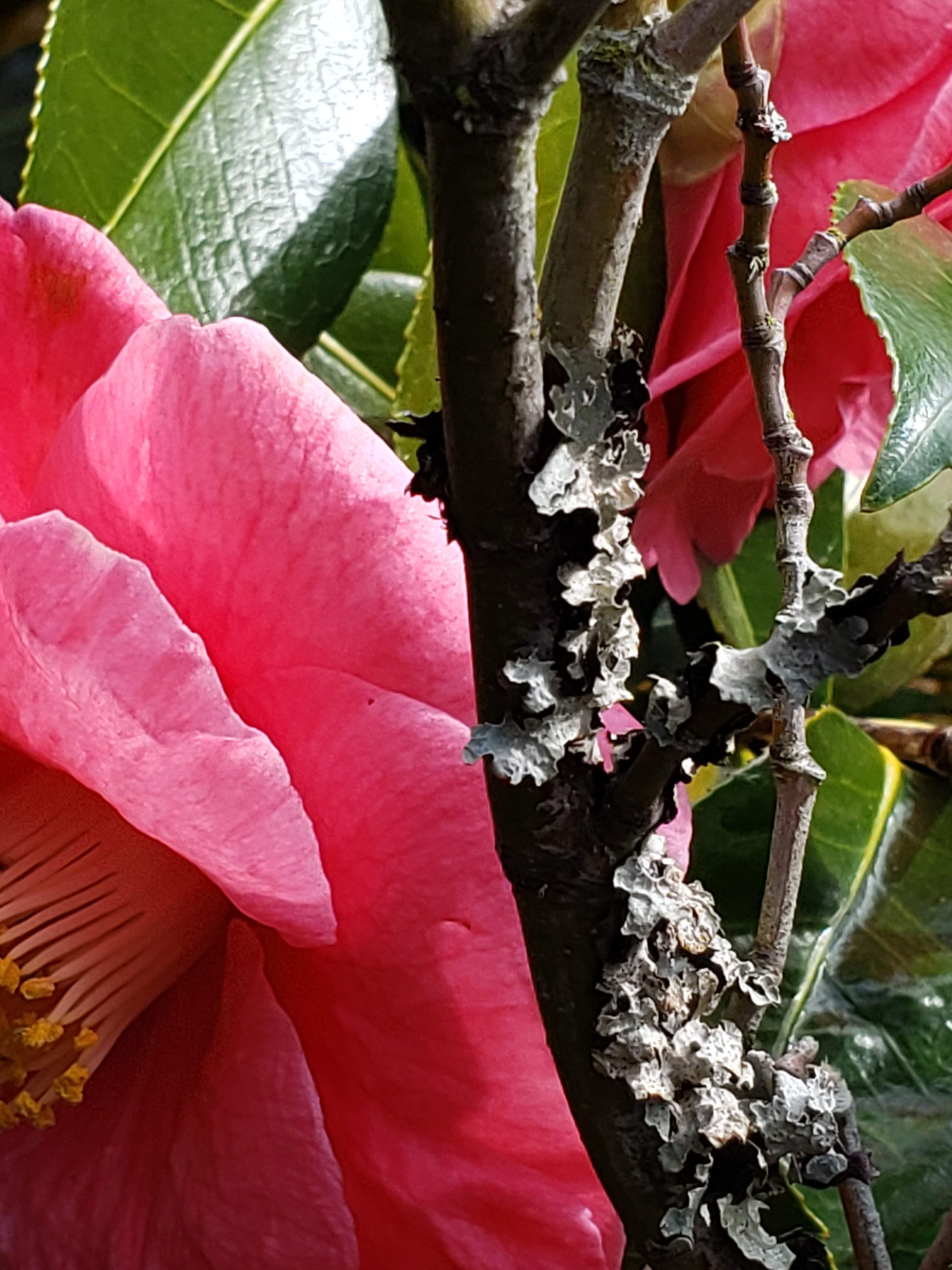 20190329_144335.jpg
