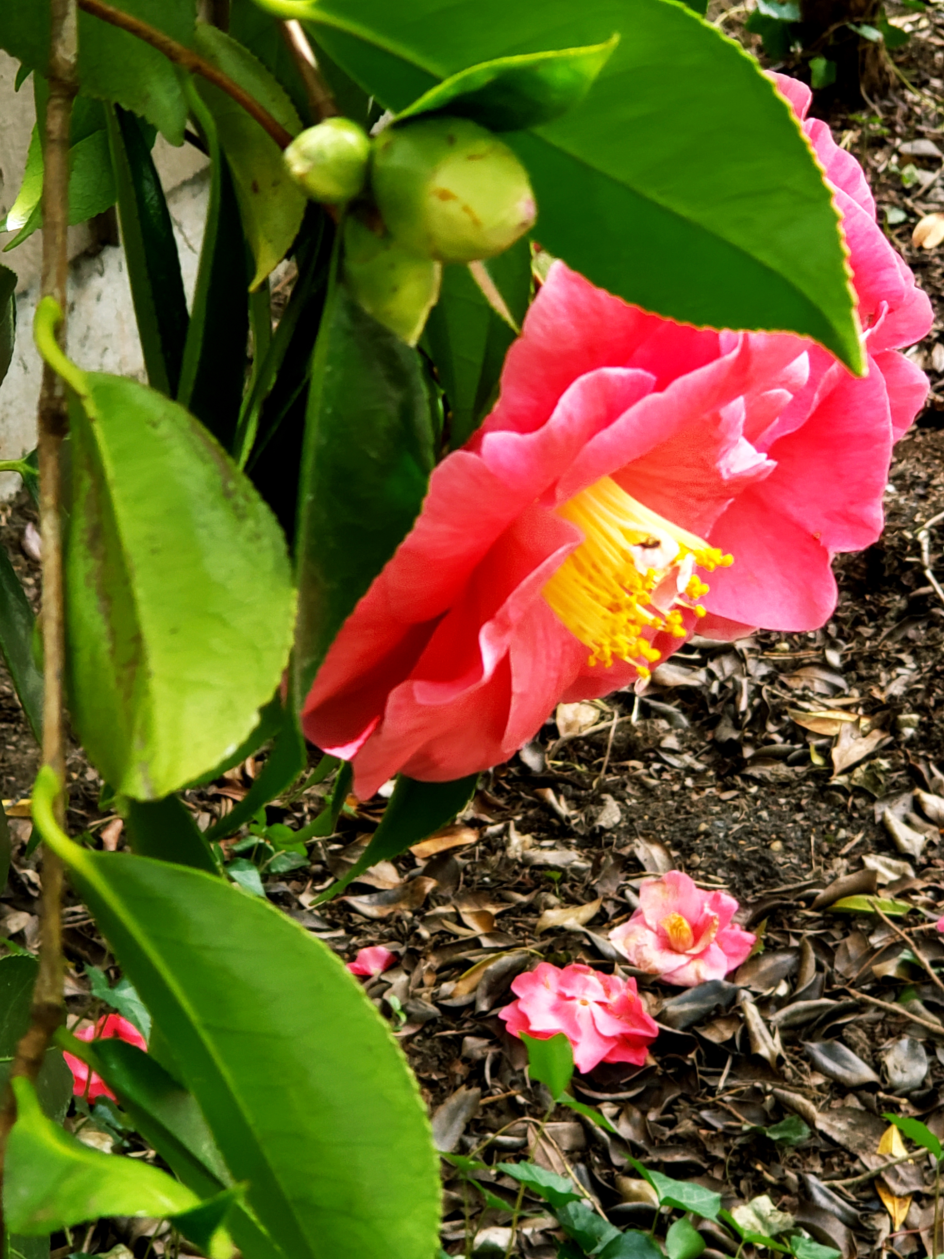 20190329_165248.jpg