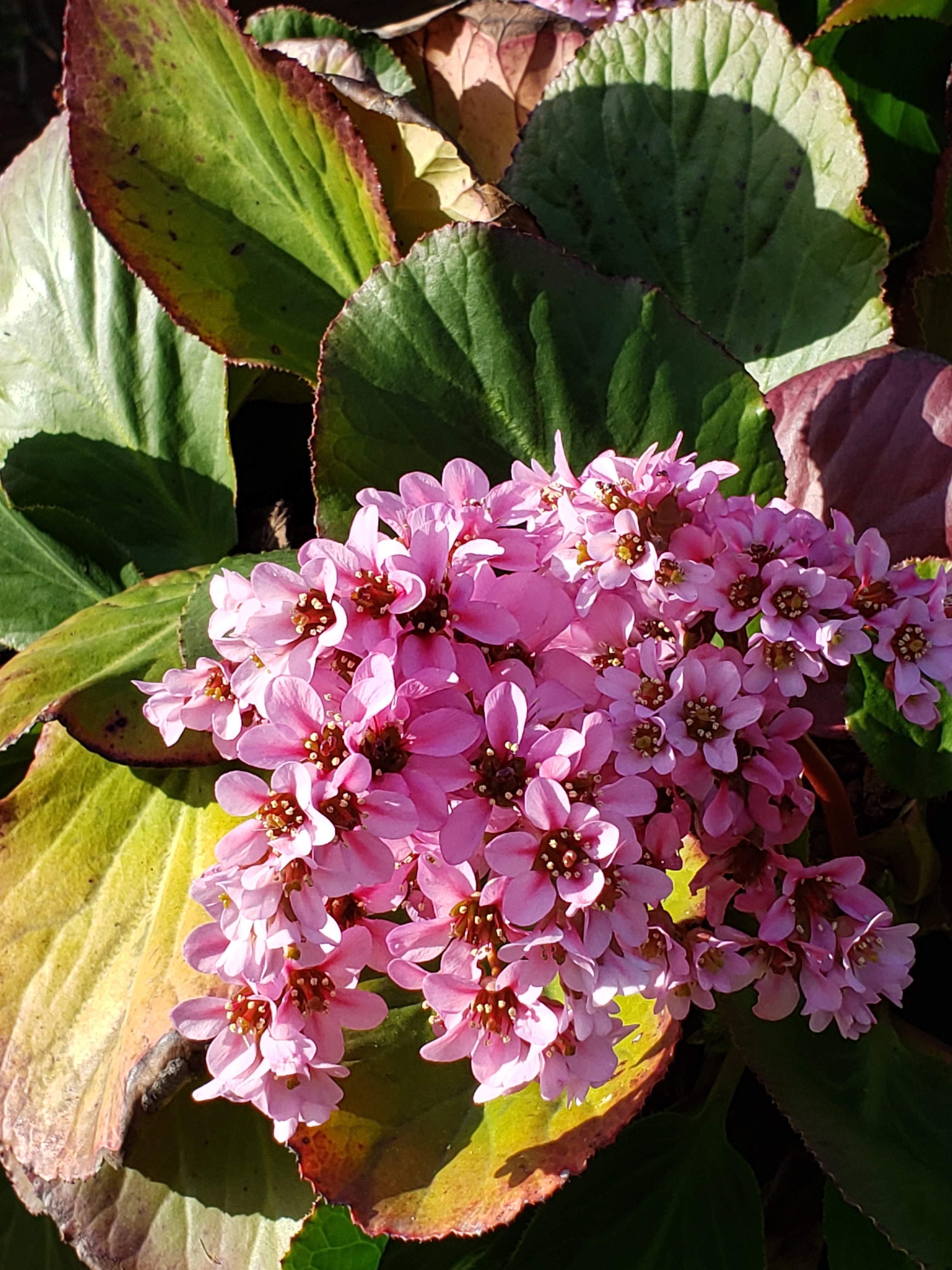 20190329_170825.jpg