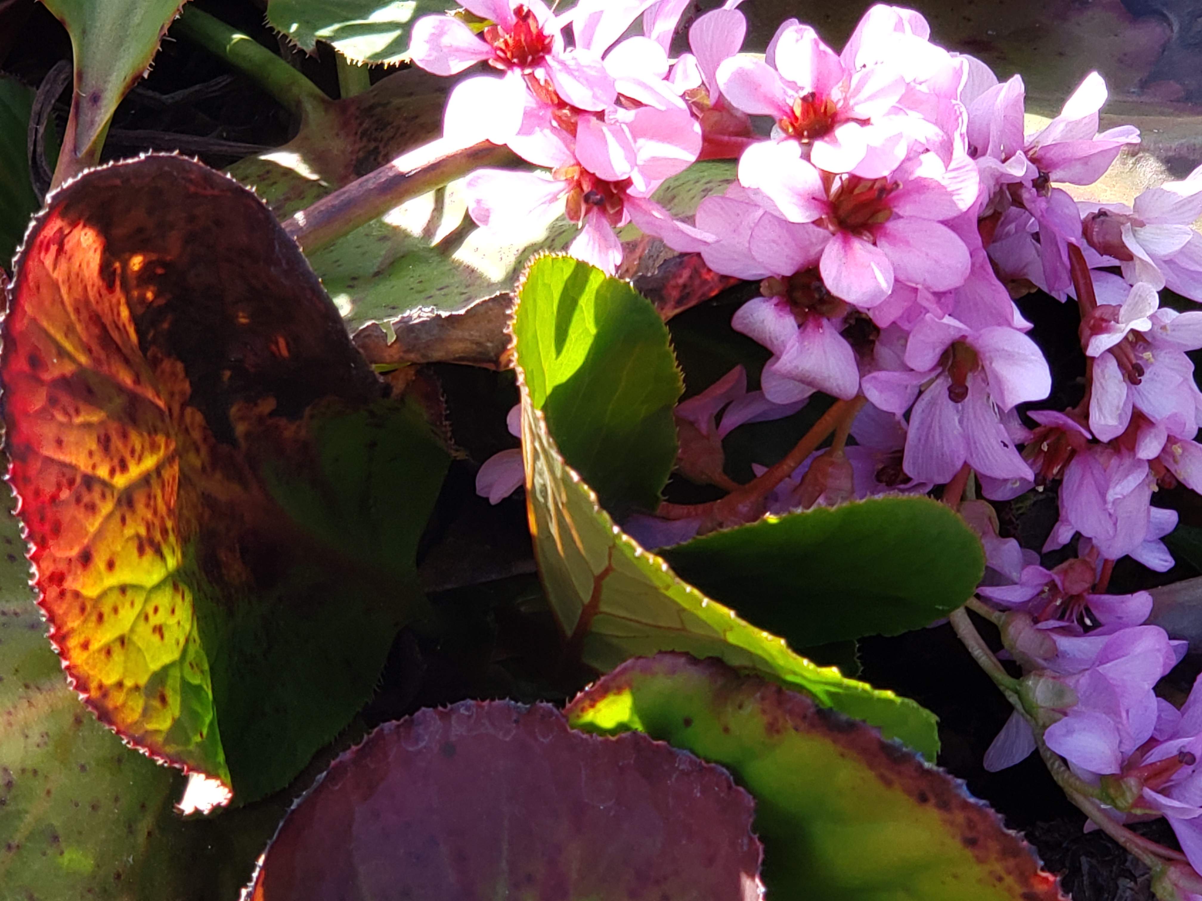 20190329_170843.jpg