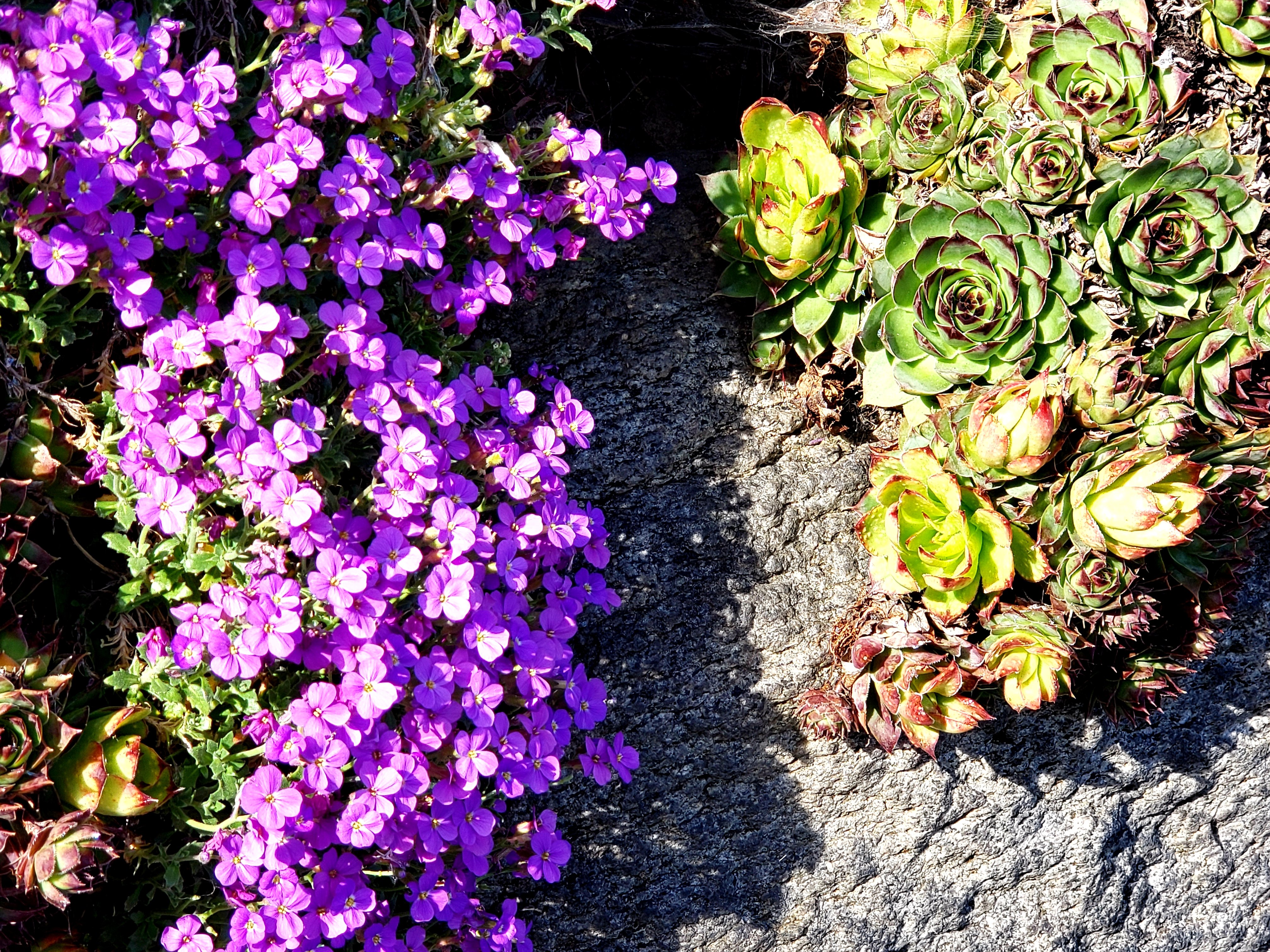 20190330_231054.jpg