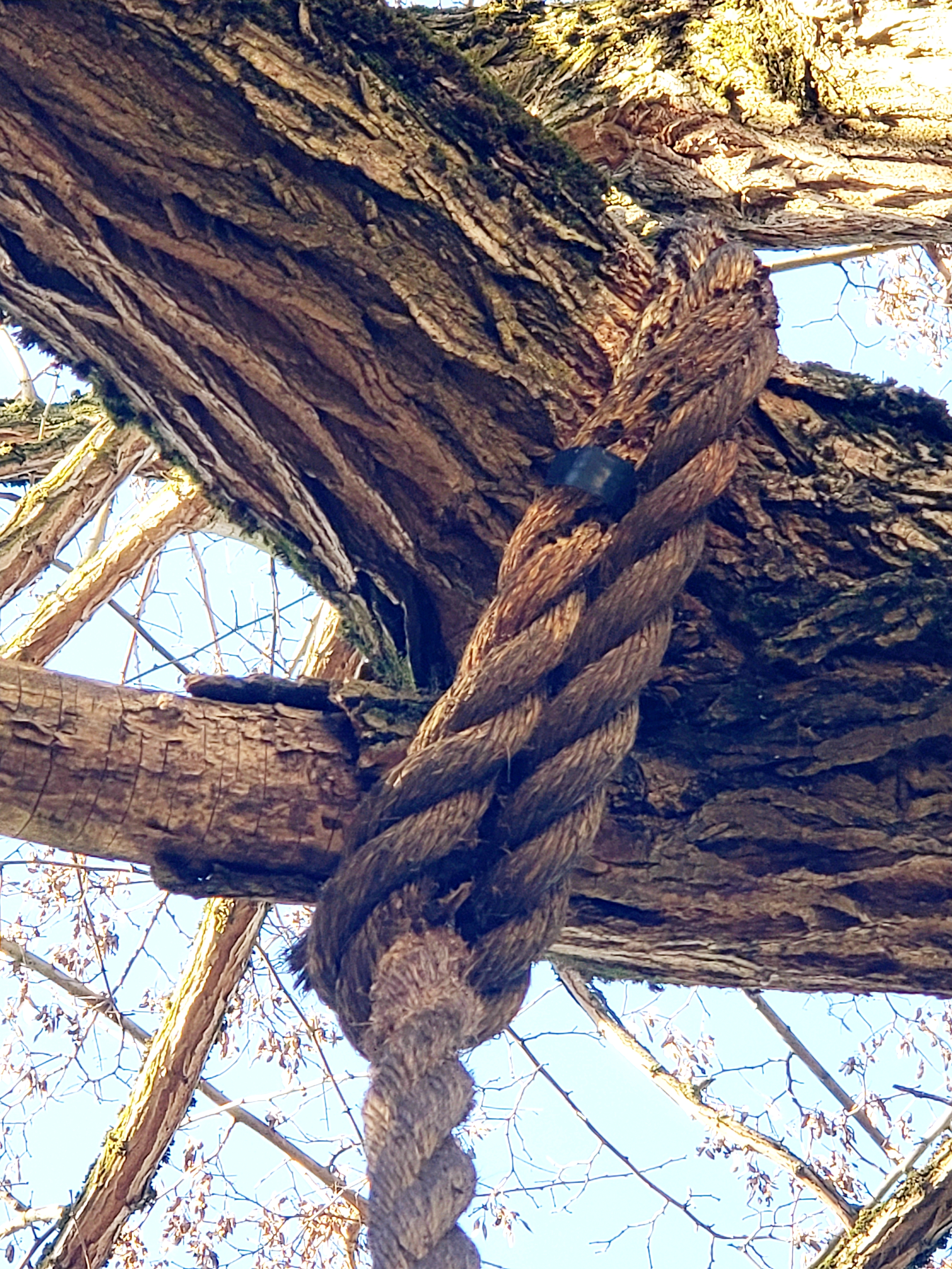 20190331_170542.jpg