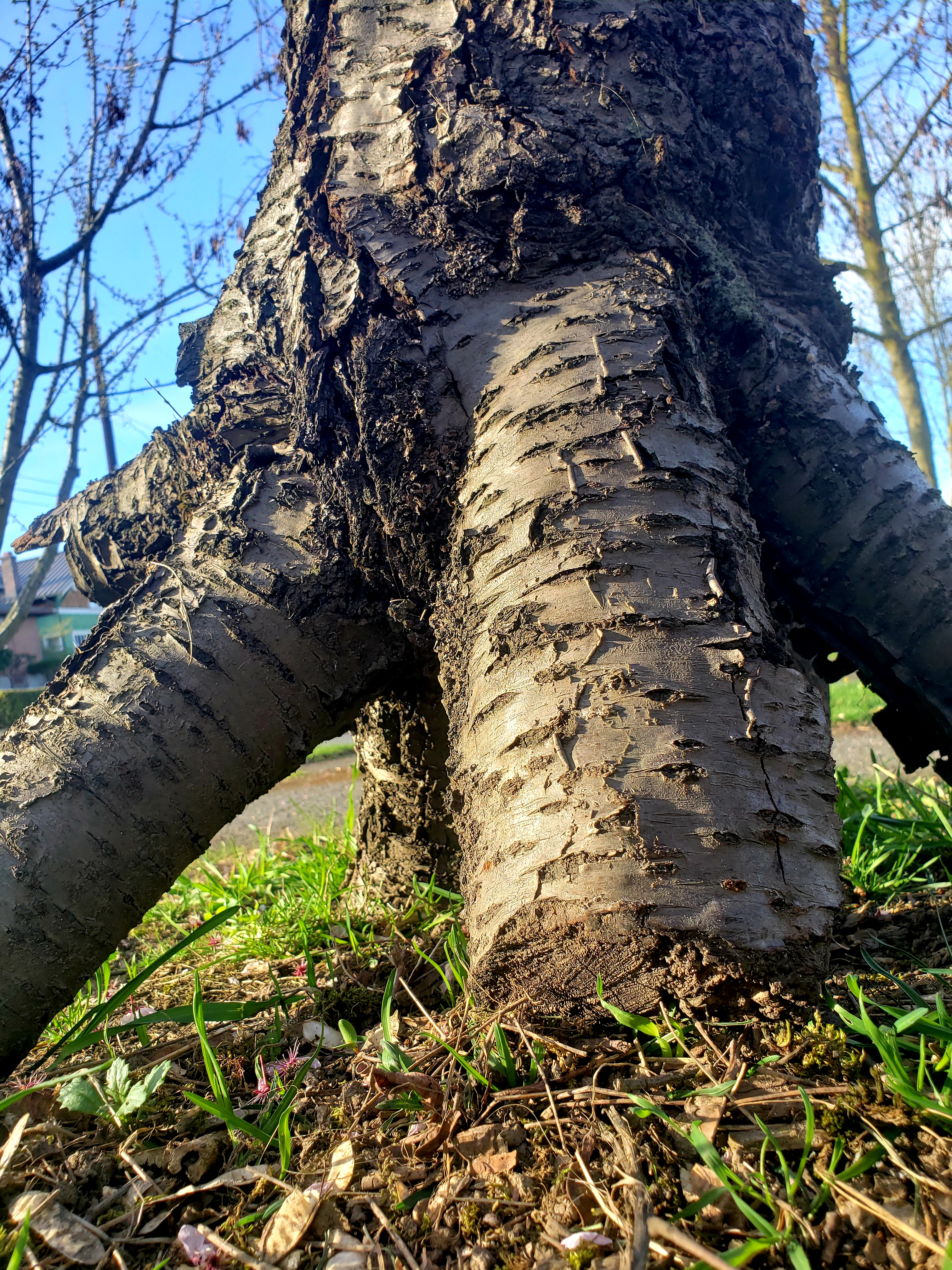 20190401_071911.jpg