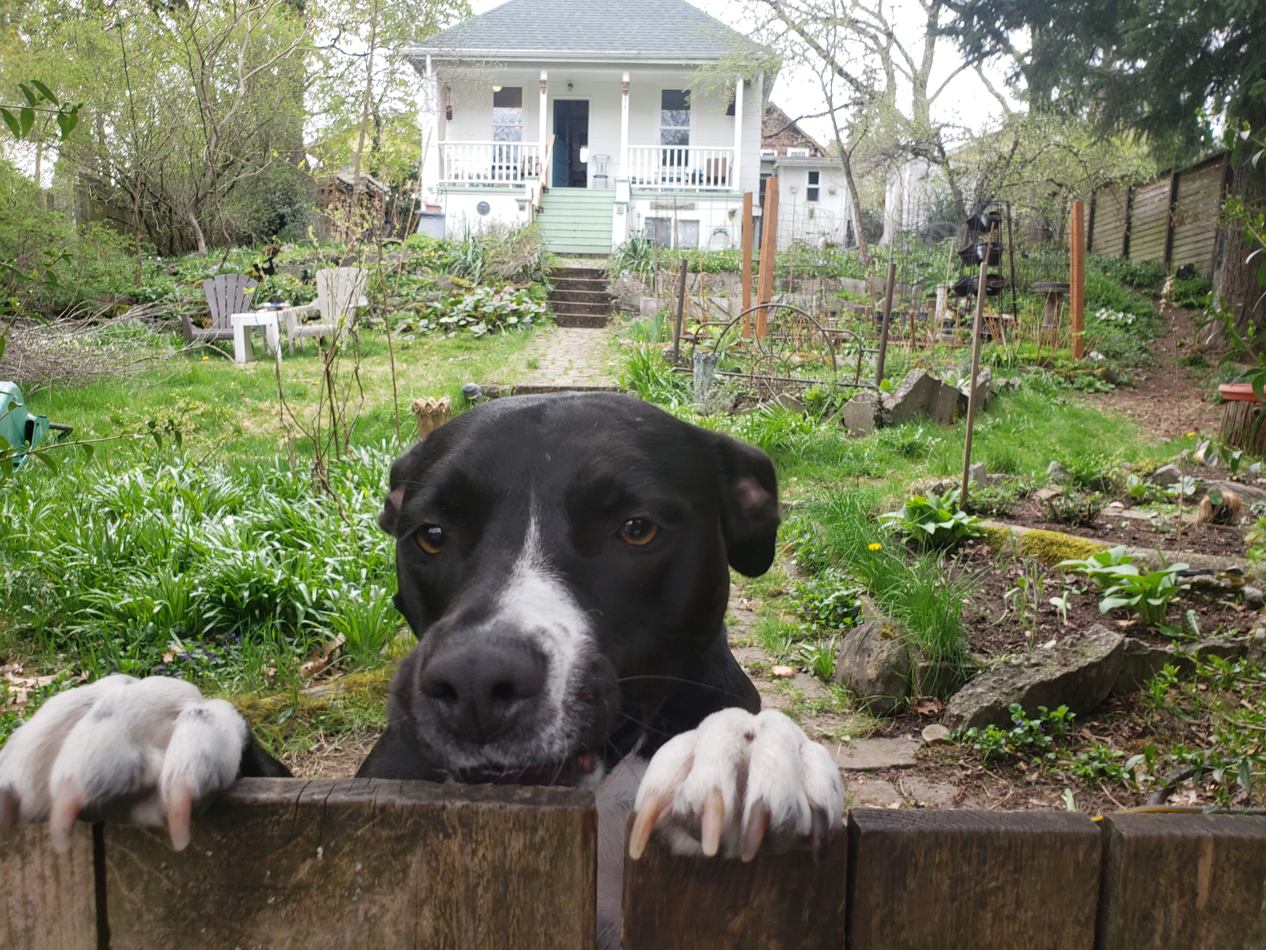 20190402_152307.jpg
