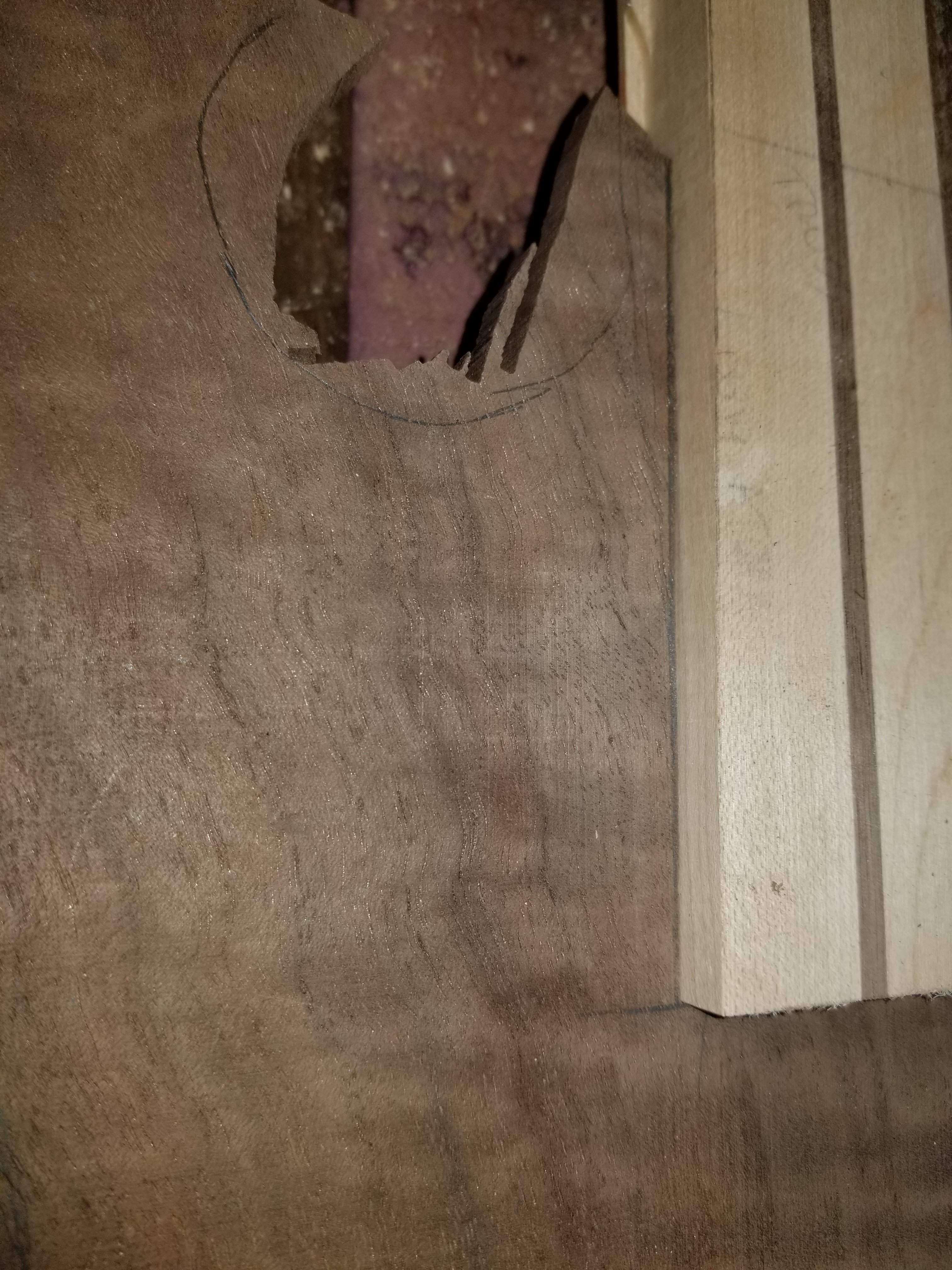 20190406_081834.jpg