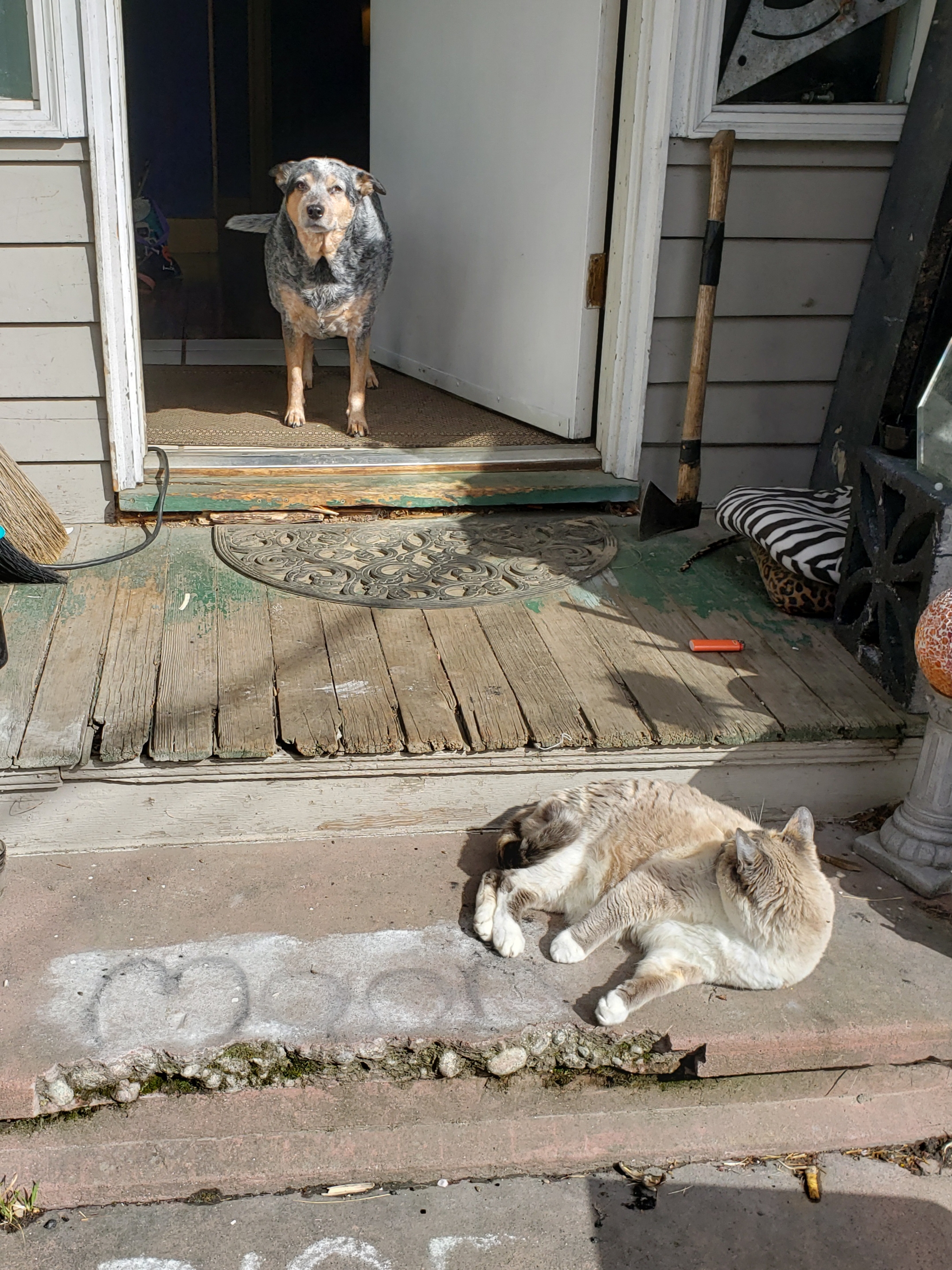 20190406_160408.jpg