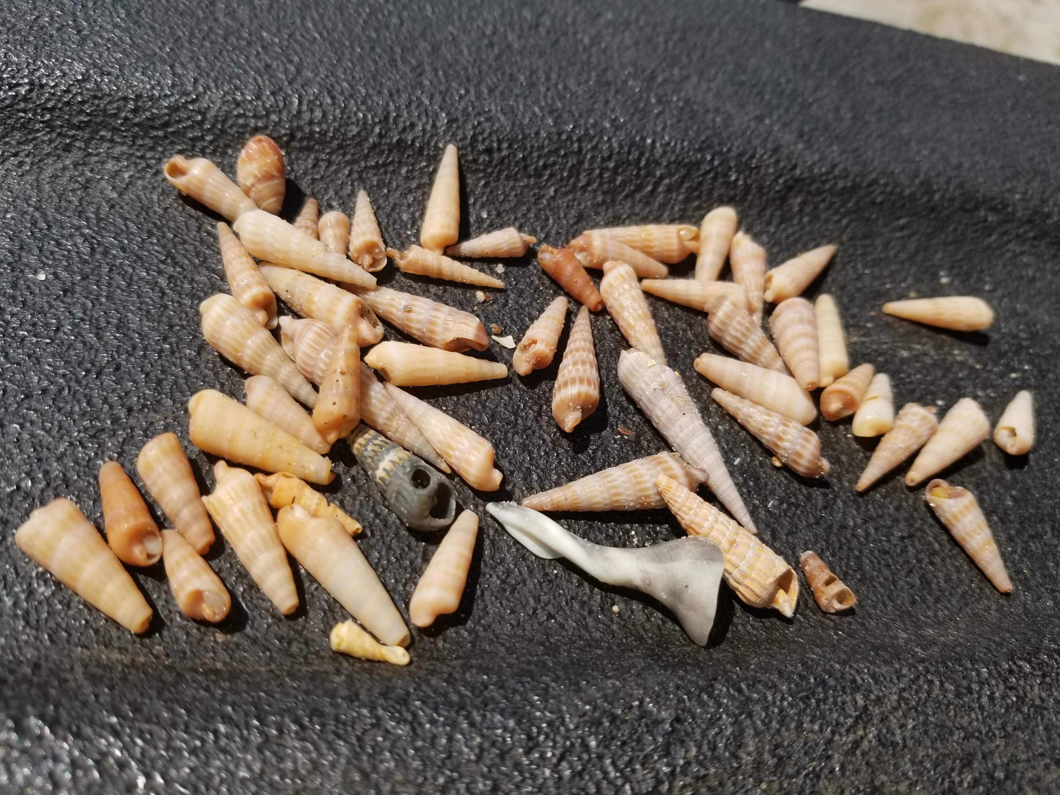 20190407_131151.jpg
