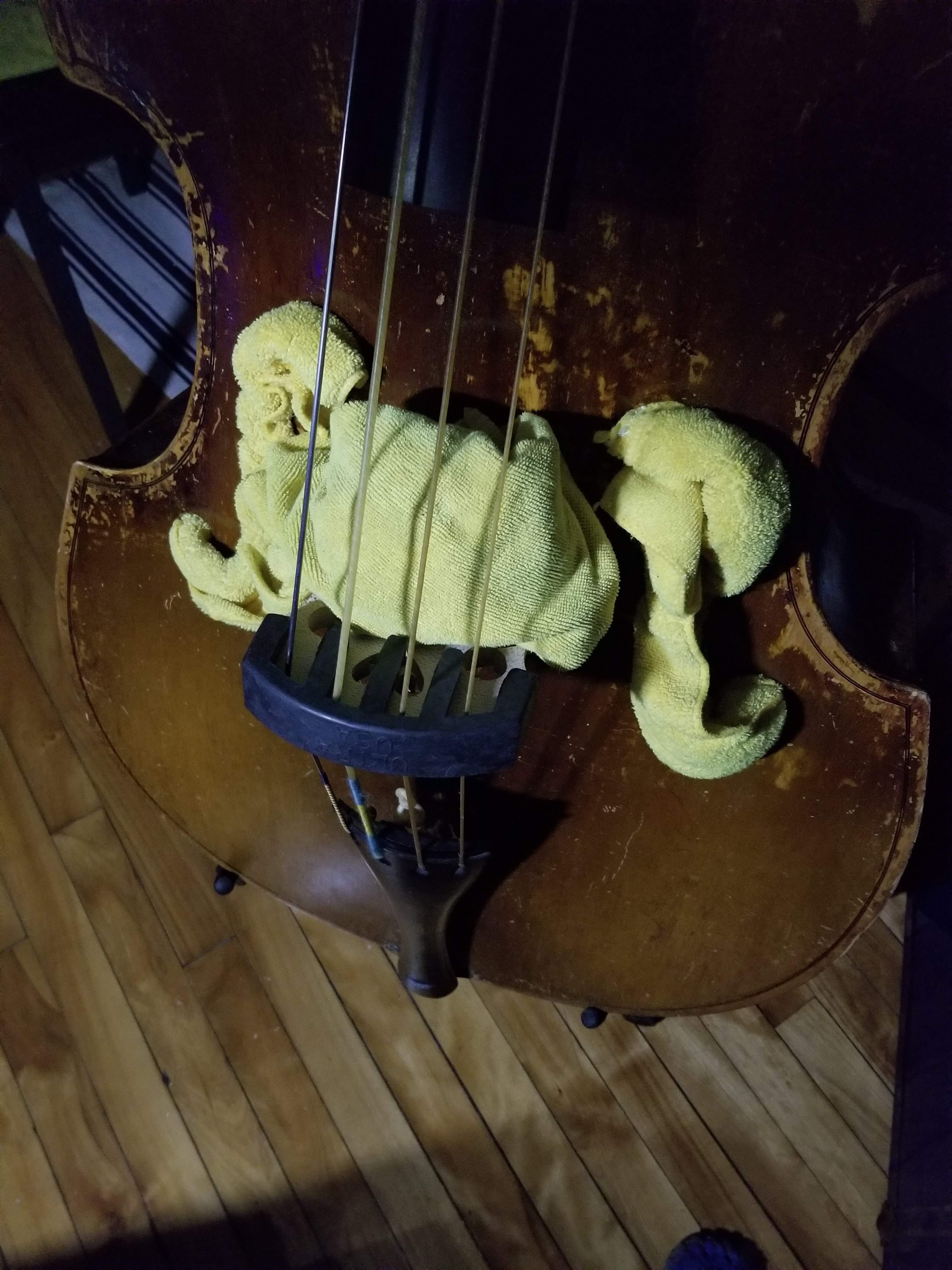 20190410_214451.jpg