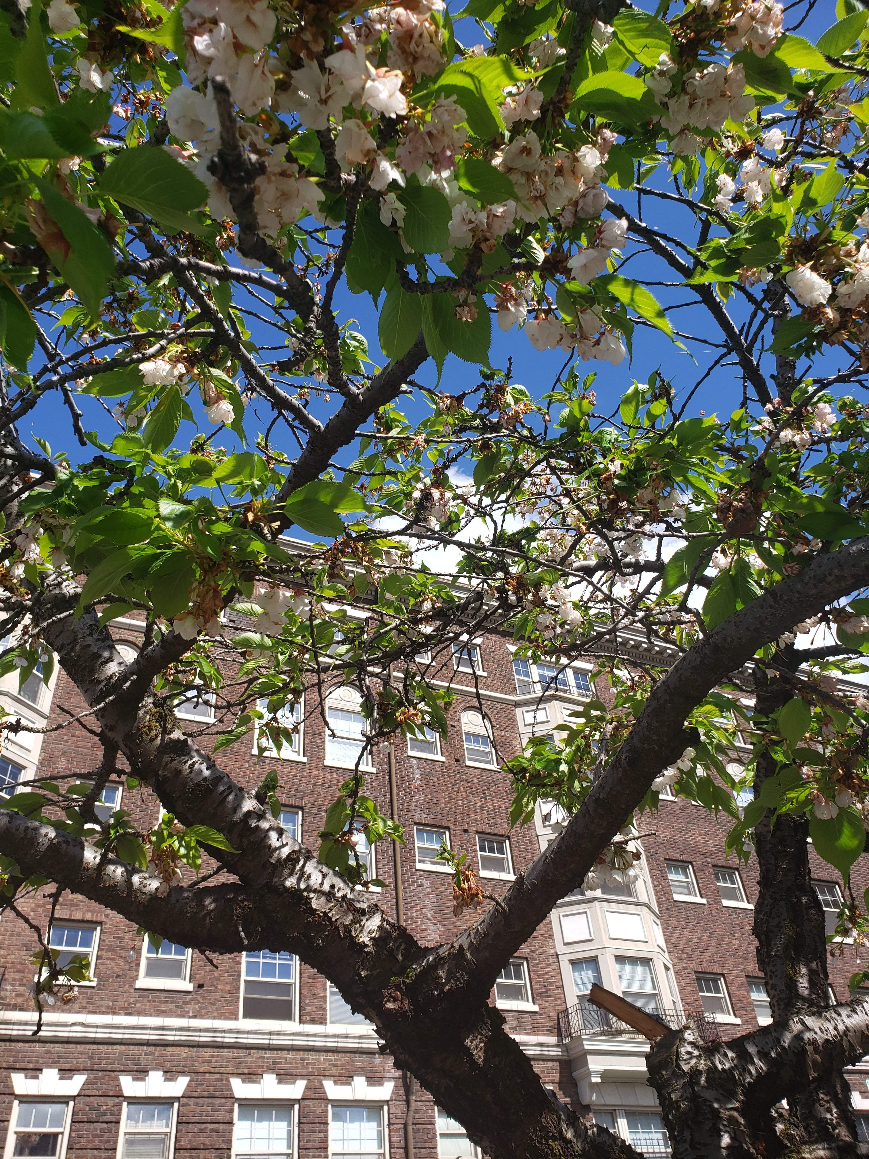 20190412_151209.jpg