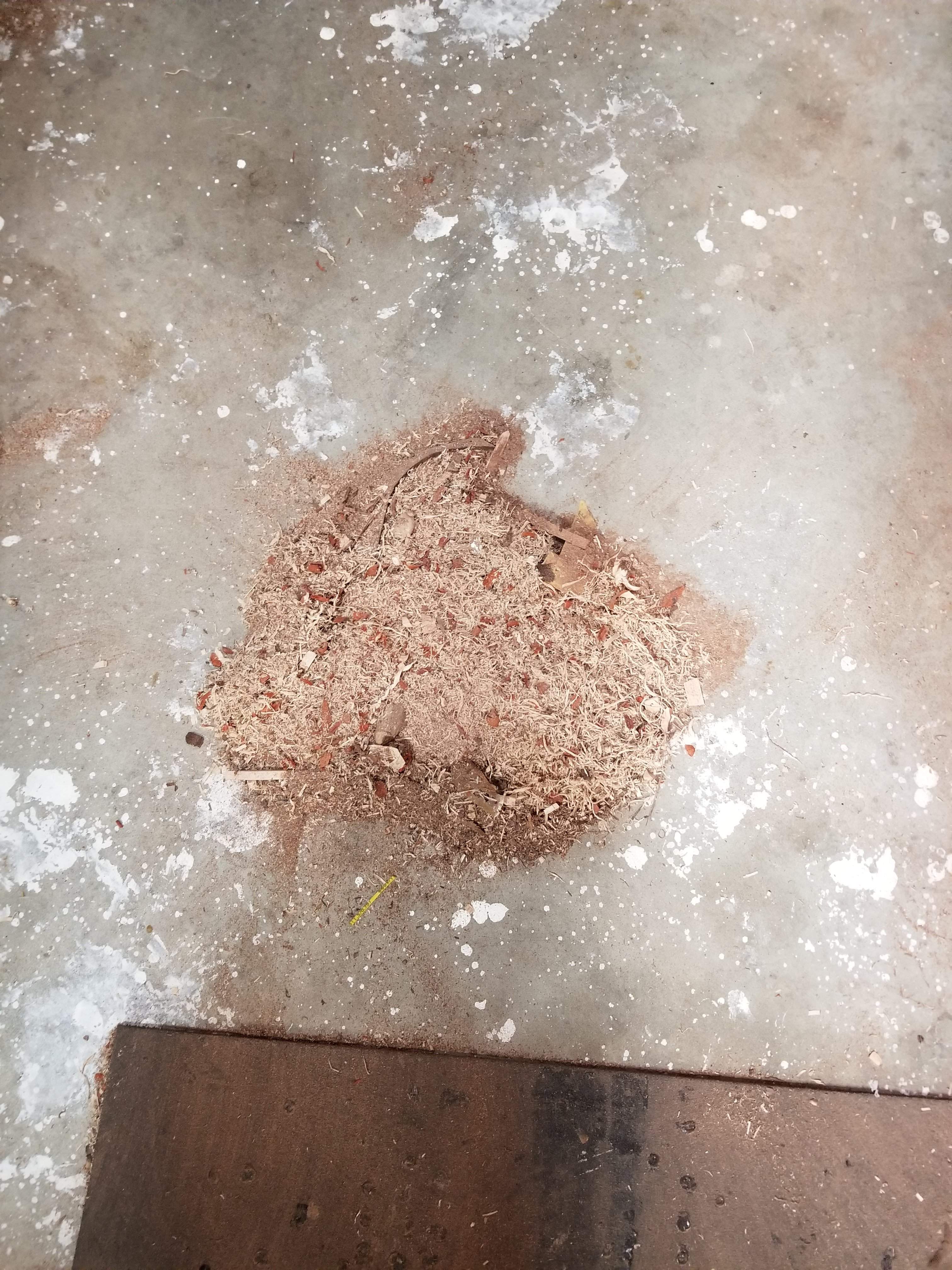 20190413_093054.jpg