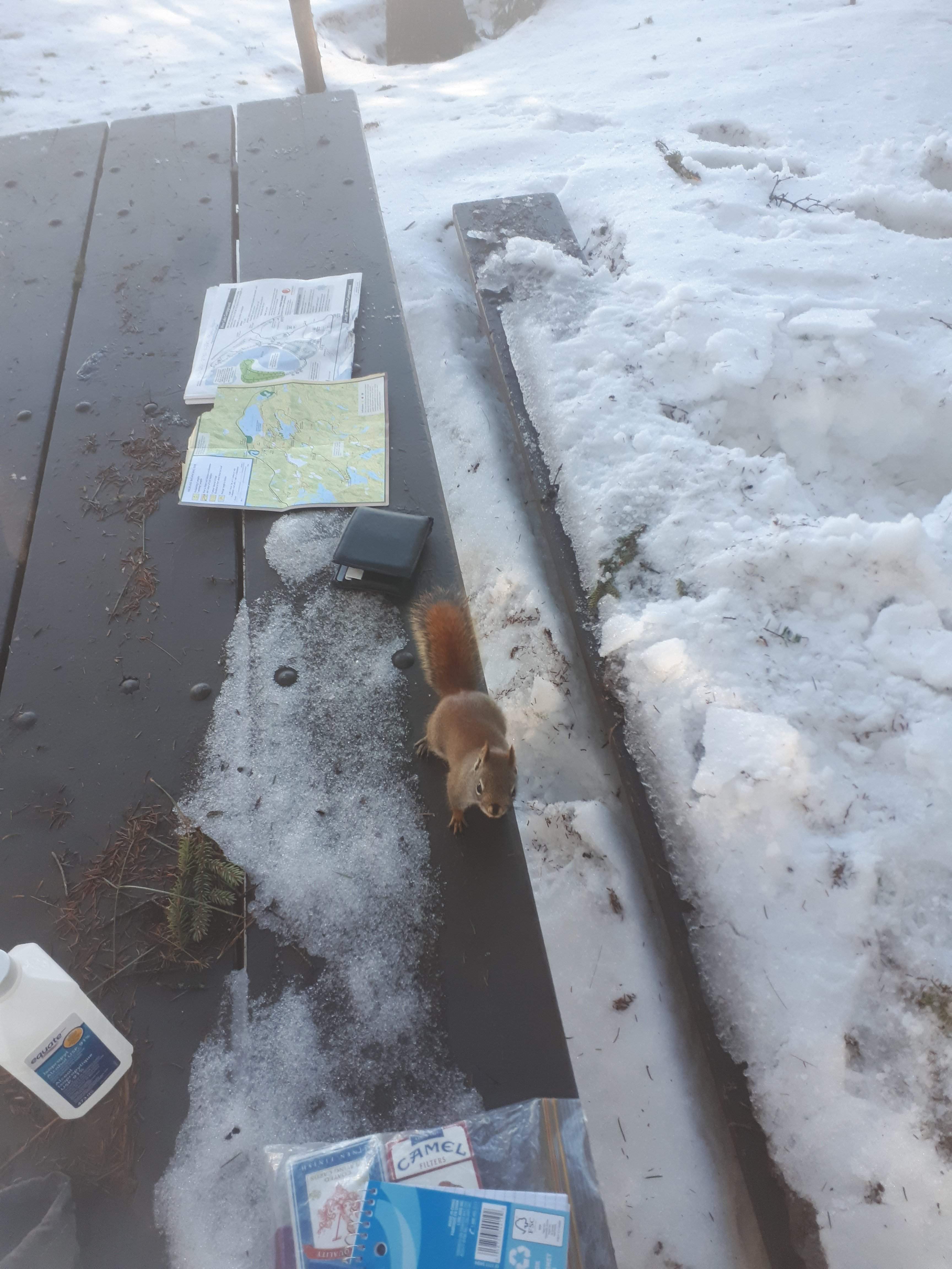20190417_094348.jpg