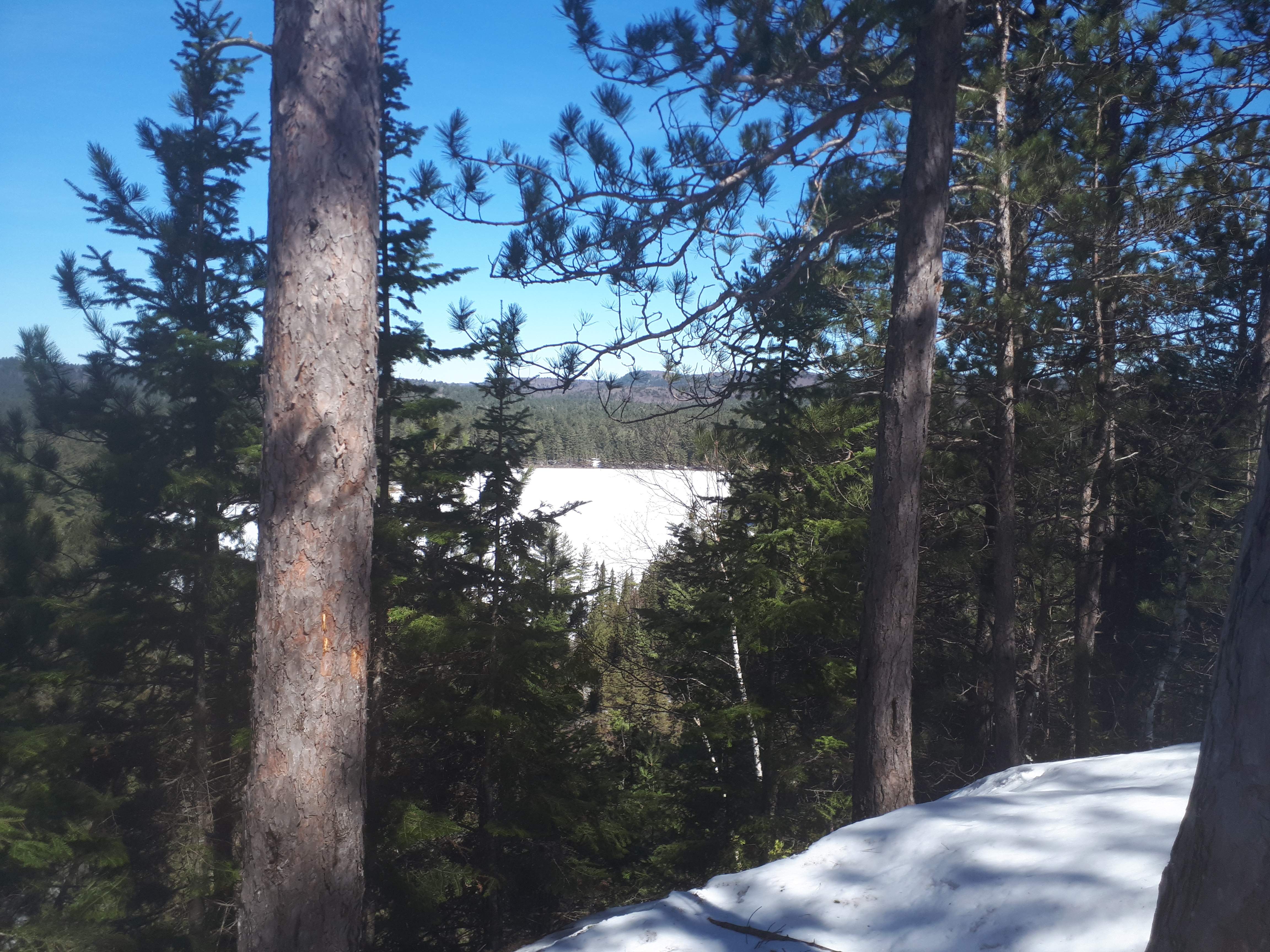 20190417_115222.jpg