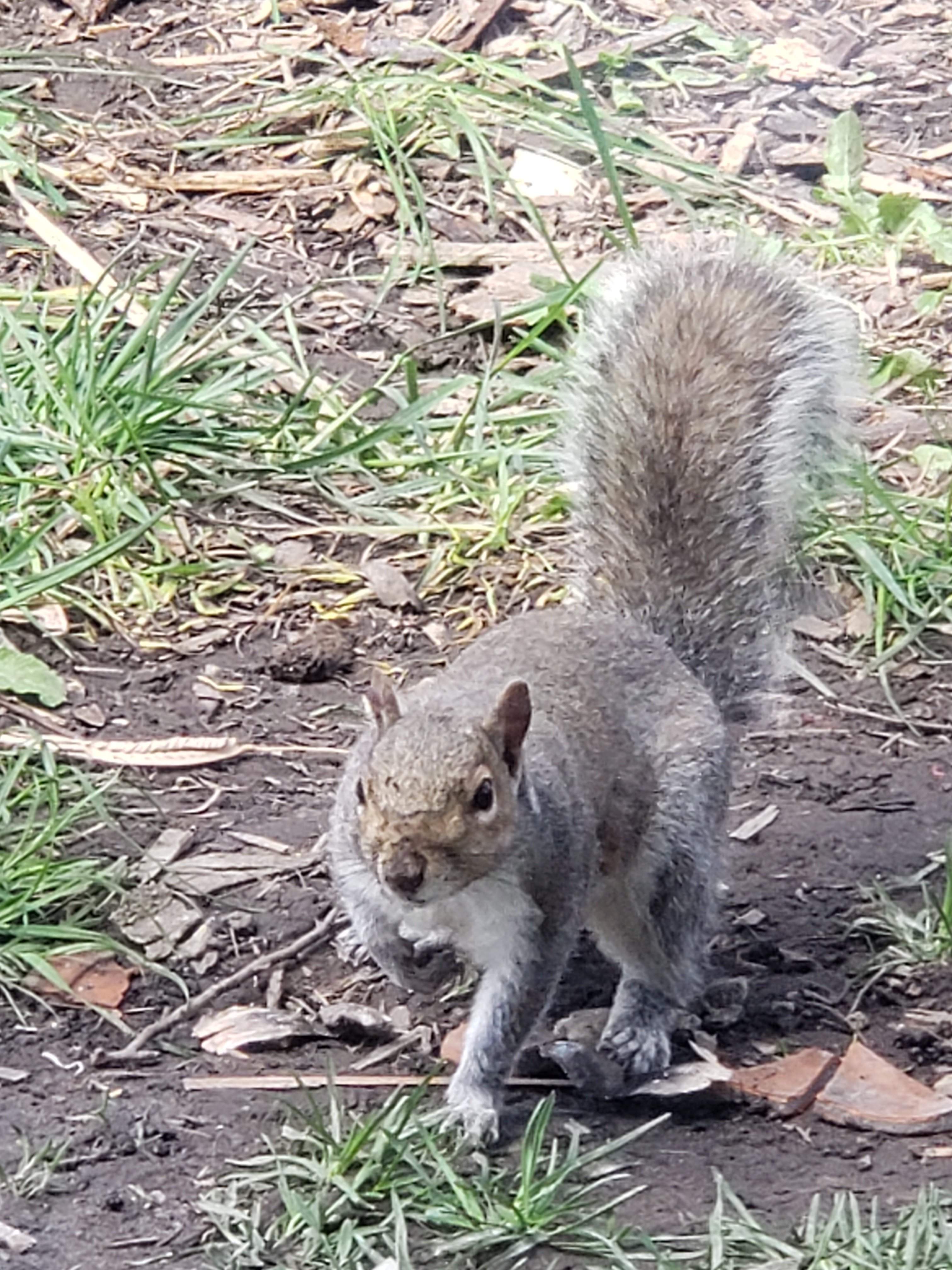 20190421_113530.jpg