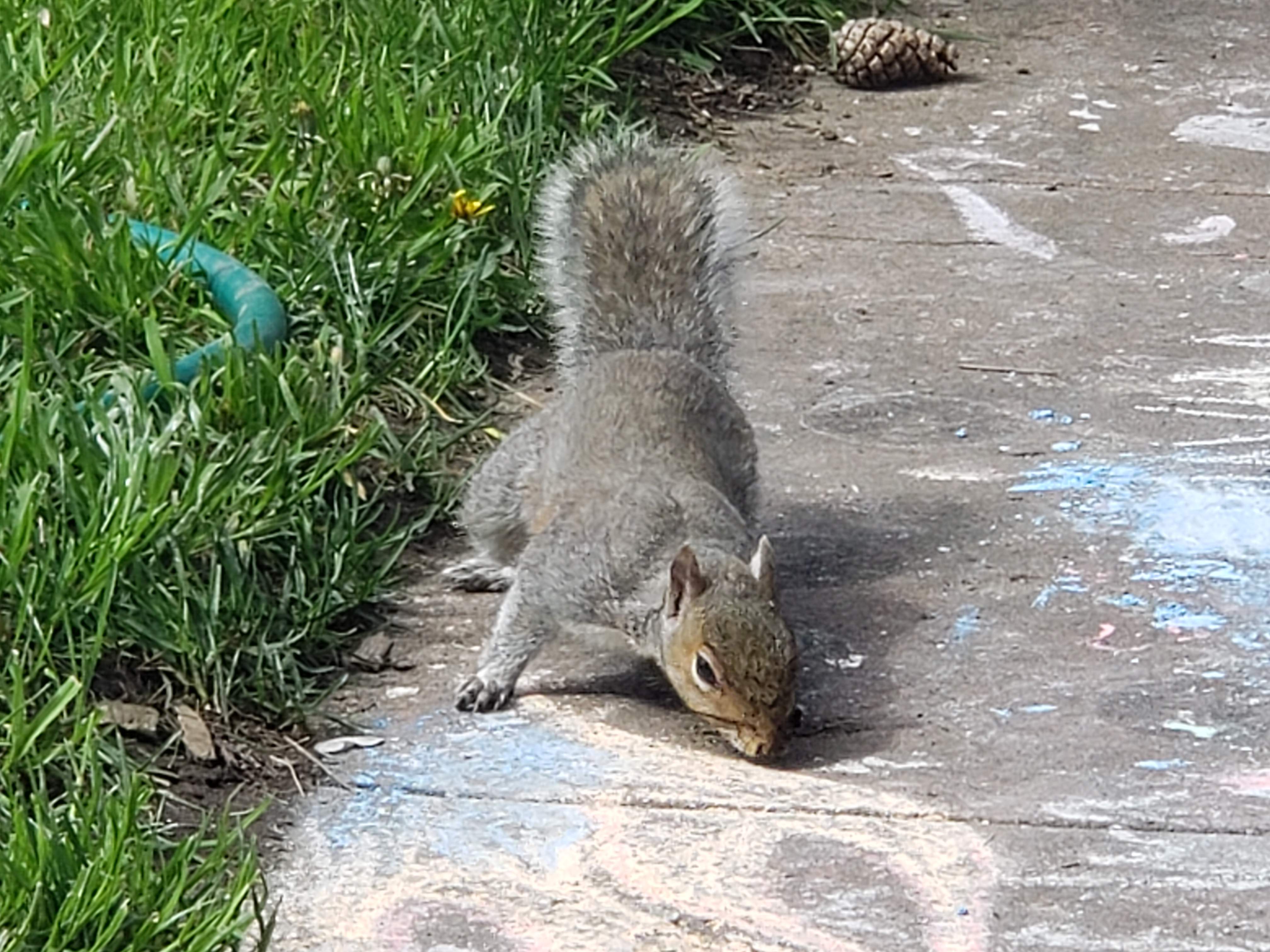 20190421_113537.jpg
