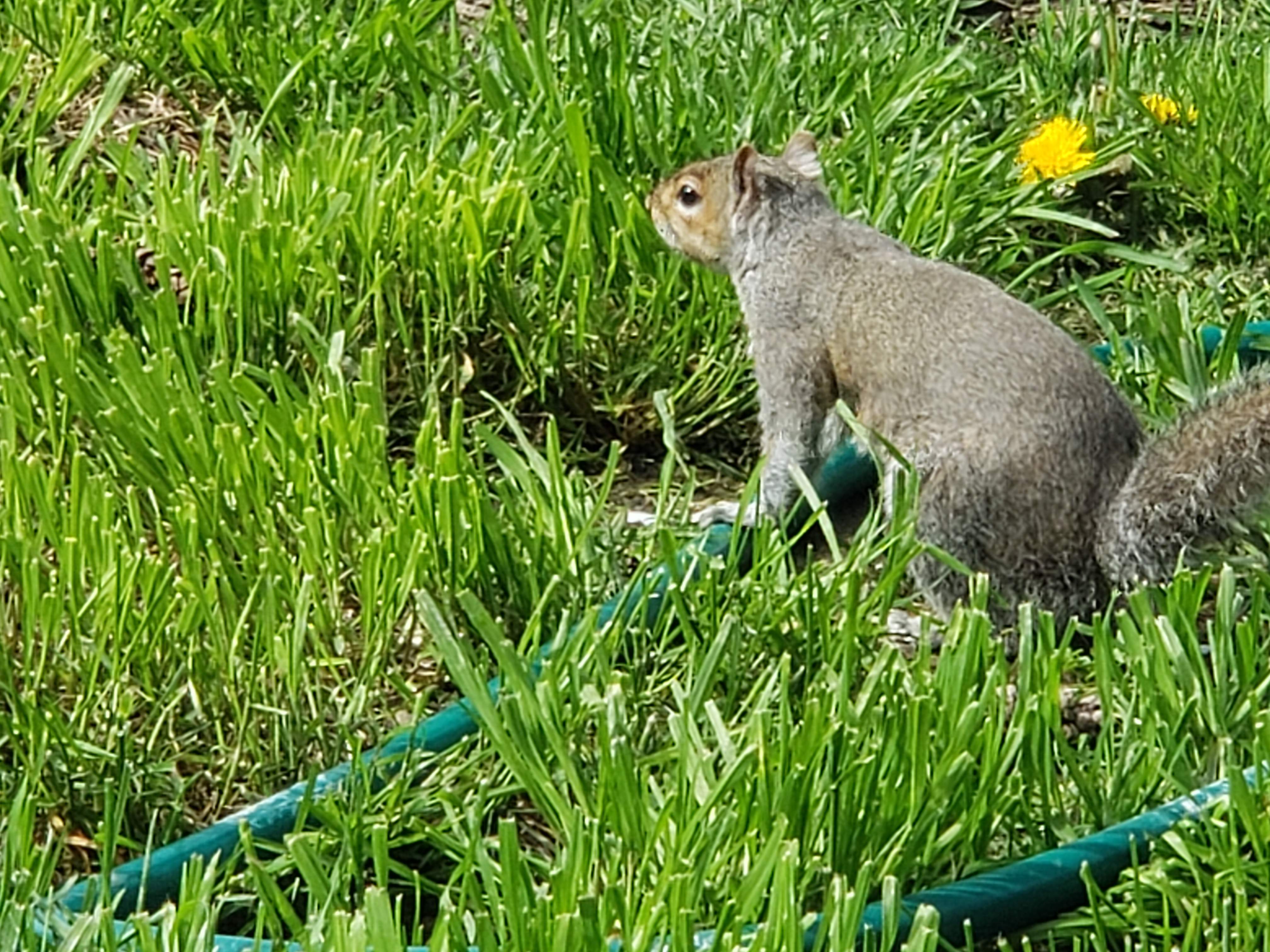 20190421_113540.jpg