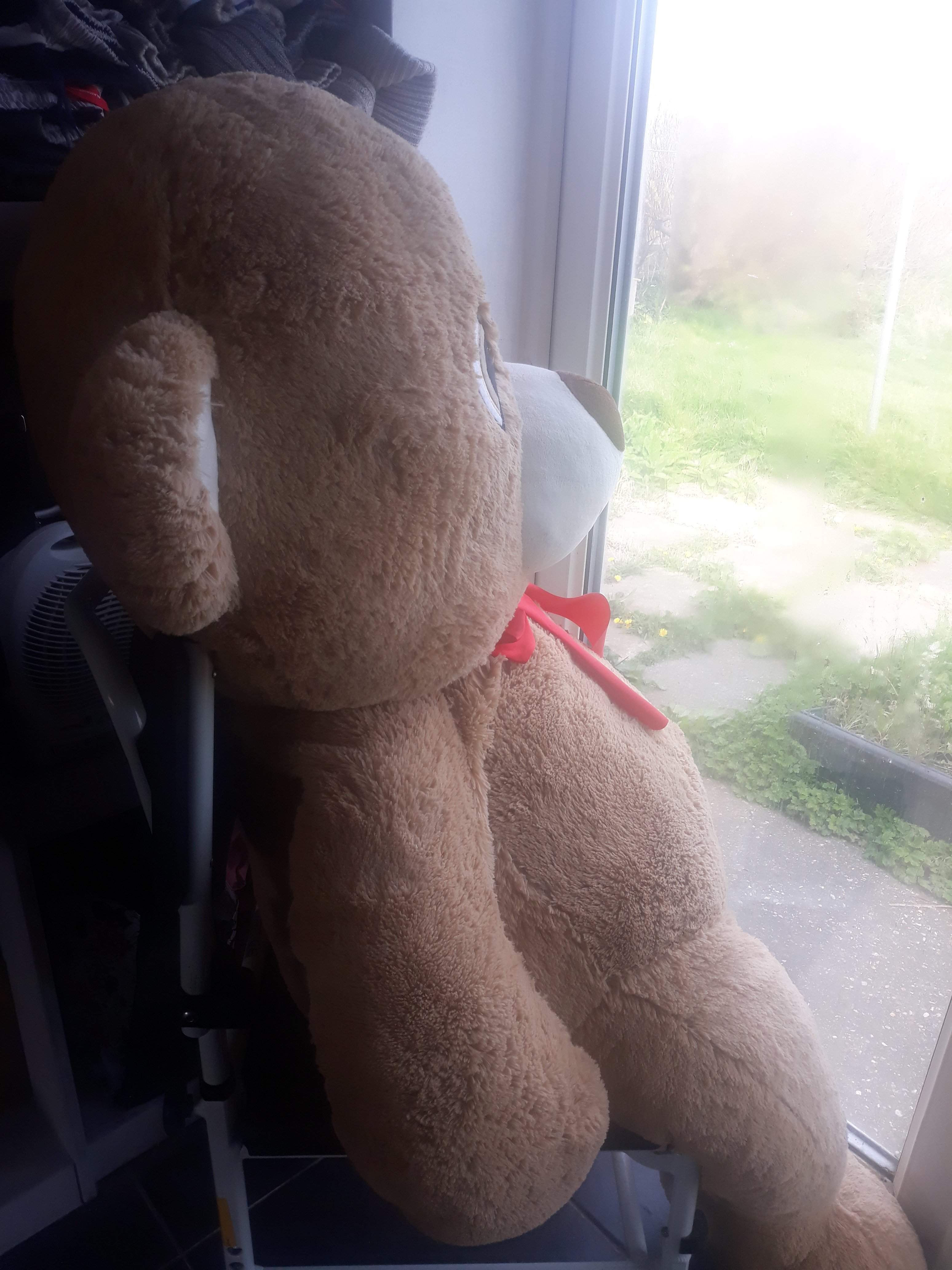 20190422_152435.jpg