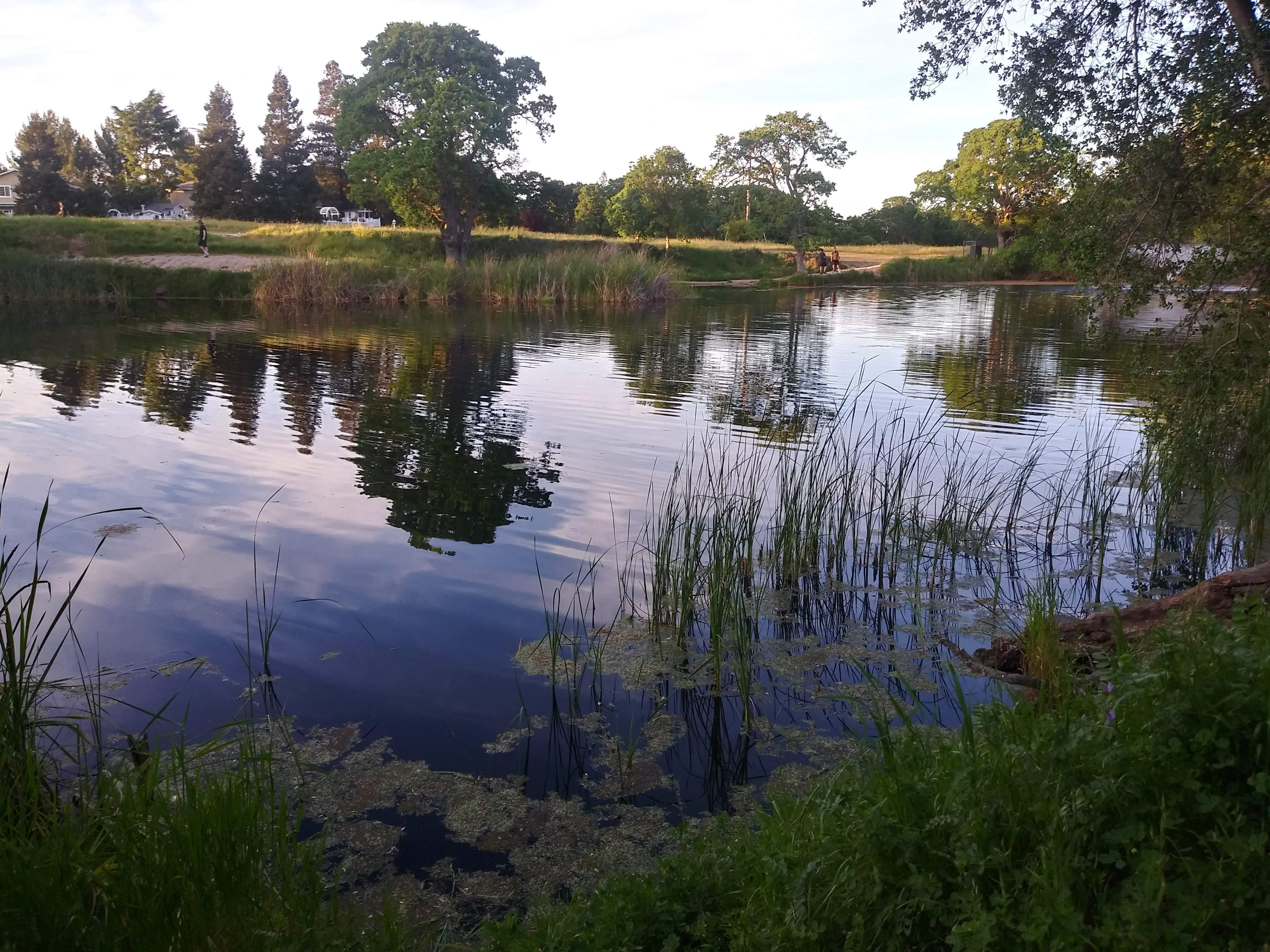 20190422_192057_HDR.jpg